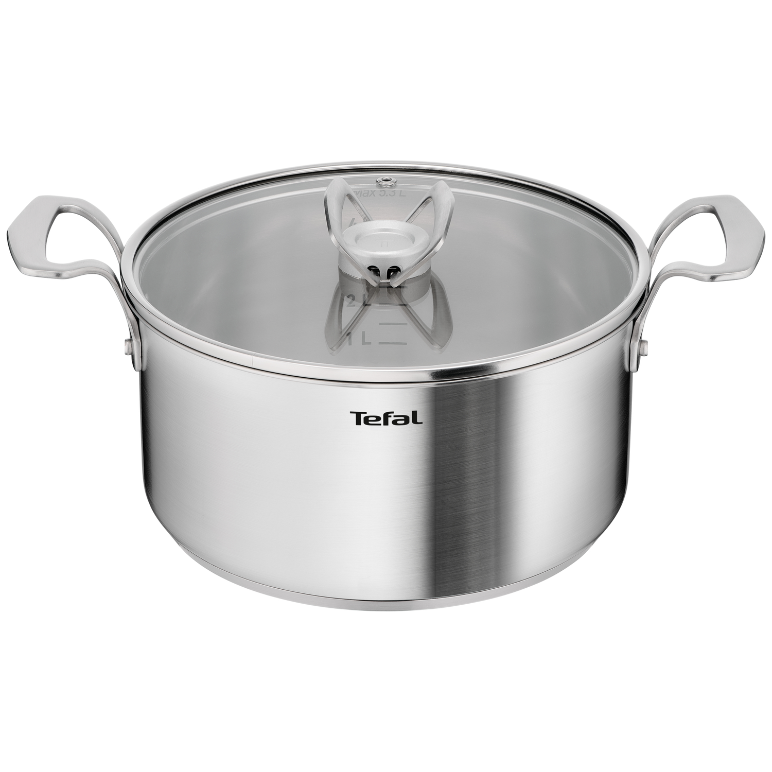 Een glanzende roestvrijstalen pan met glazen deksel en twee handvatten. Tefal logo zichtbaar.