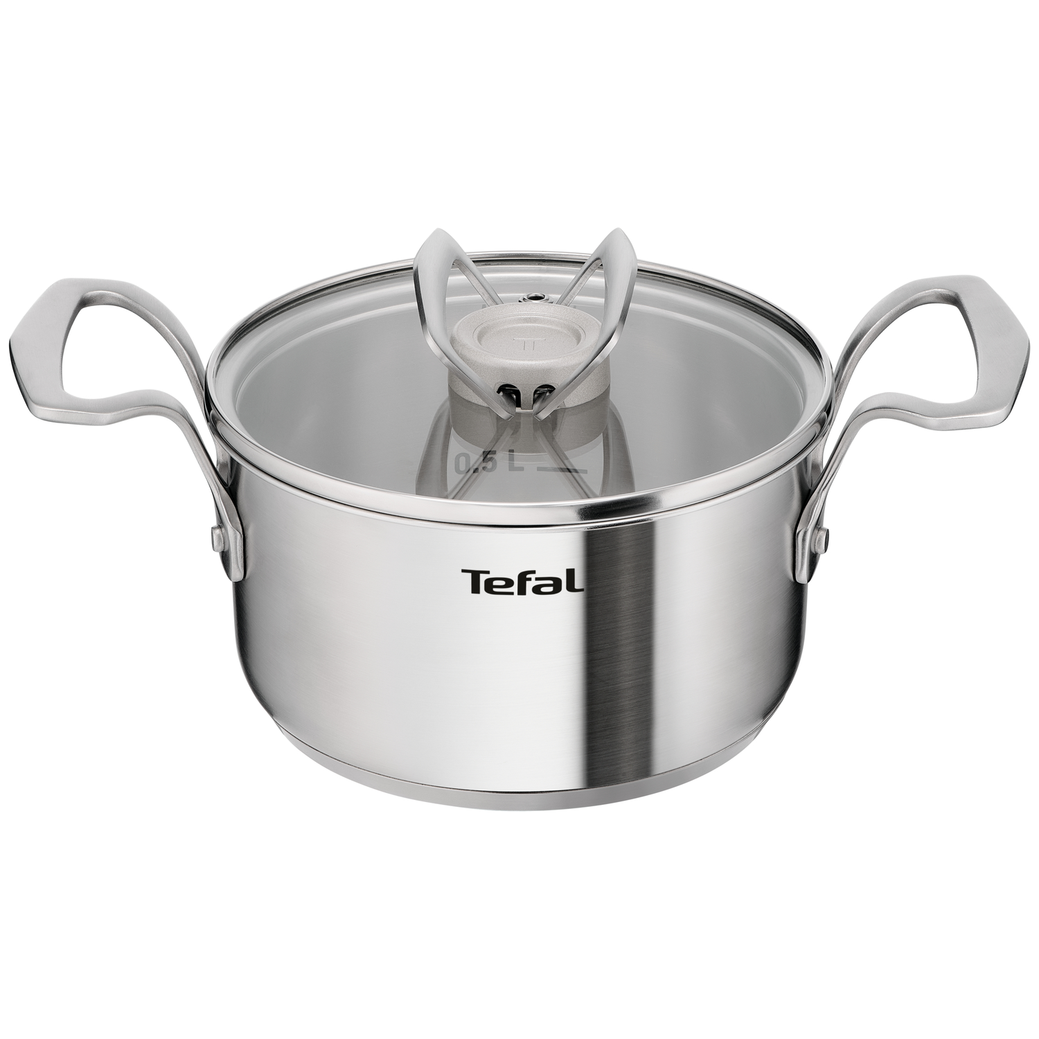 RVS pan met glazen deksel en twee handvatten, Tefal logo.