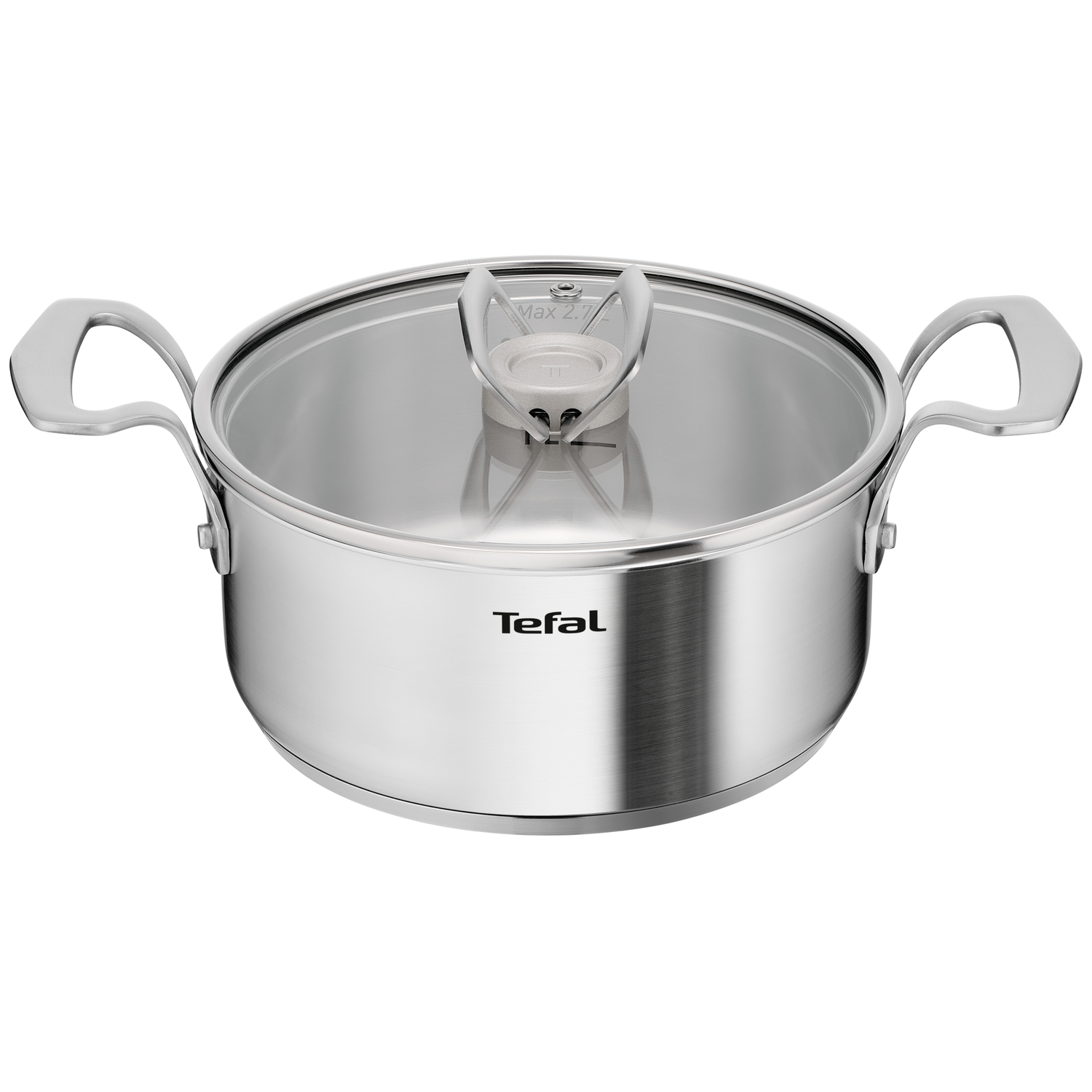 Rvs kookpan met glazen deksel en twee handvatten. Tefal logo op de voorkant.
