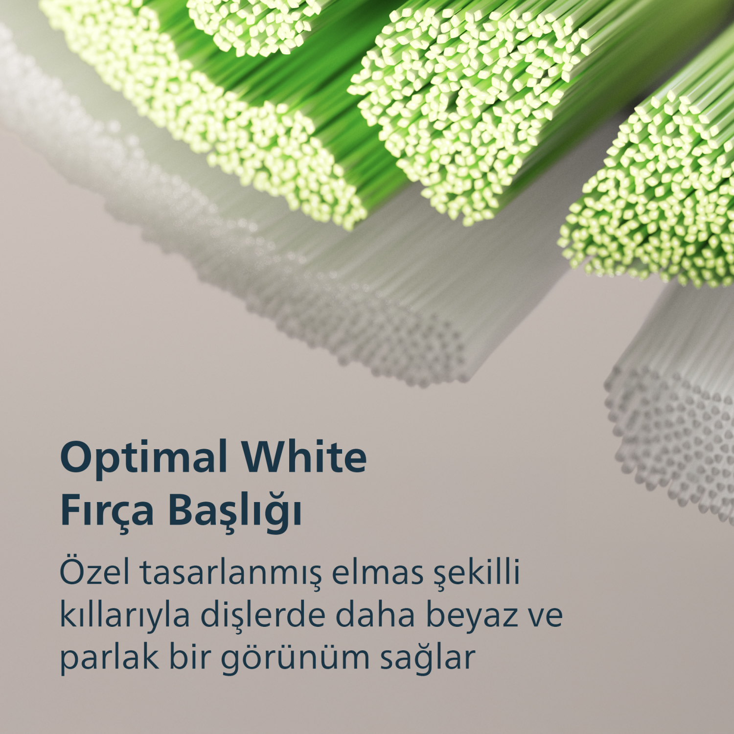 Yeşil ve beyaz diş fırçası kılları ve metin.