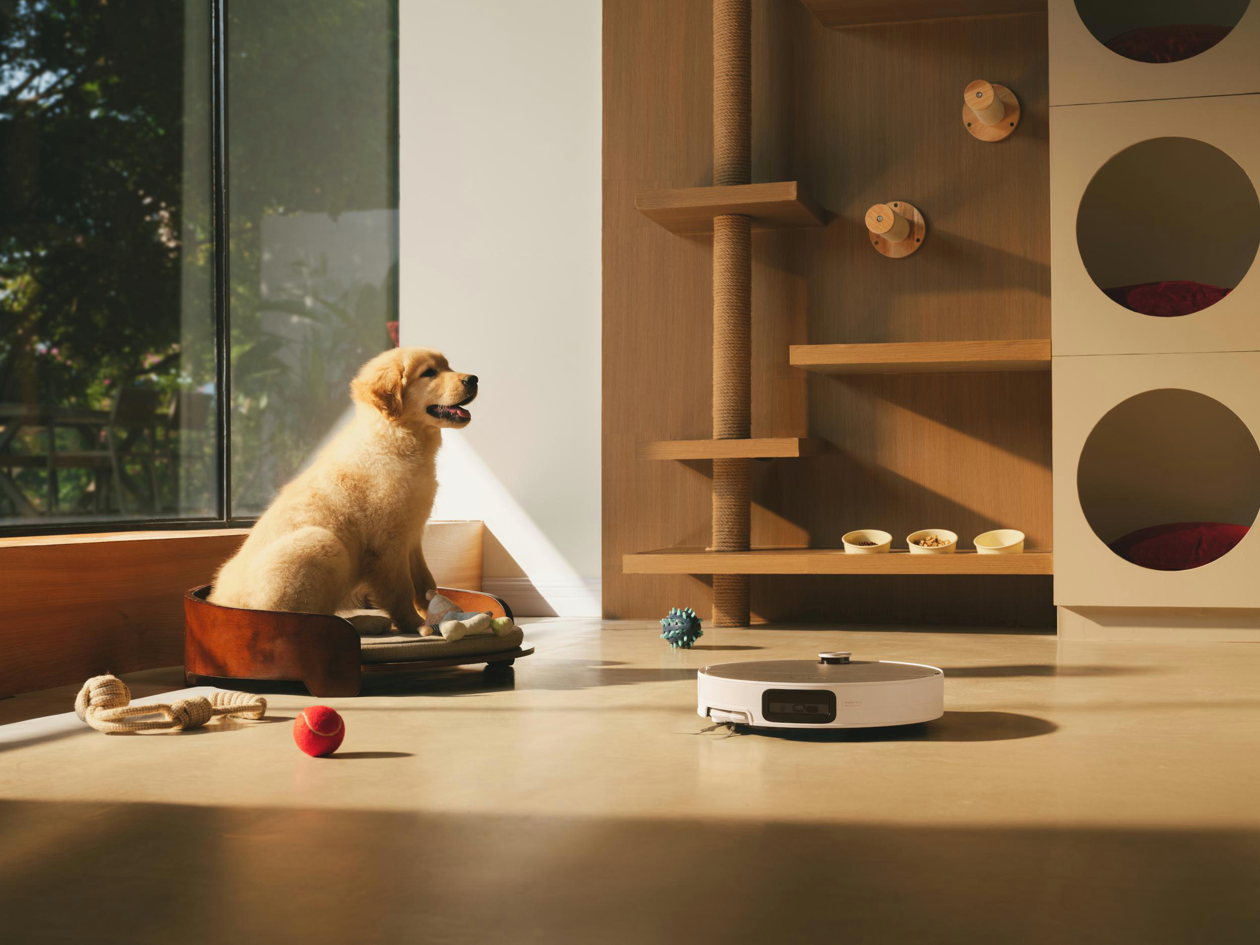 Ein goldener Welpe sitzt in seinem Bett neben Spielzeug und einem Staubsaugerroboter.
