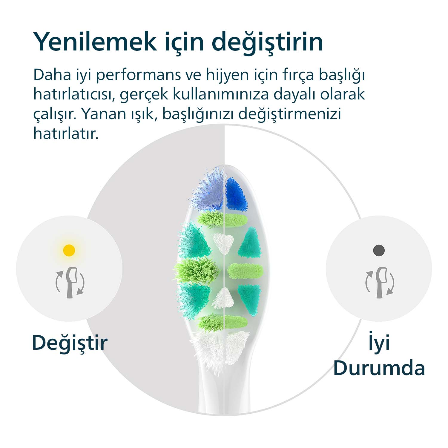 Bir ışık göstergesi, fırça başlığının ne zaman değiştirilmesi gerektiğini gösterir.