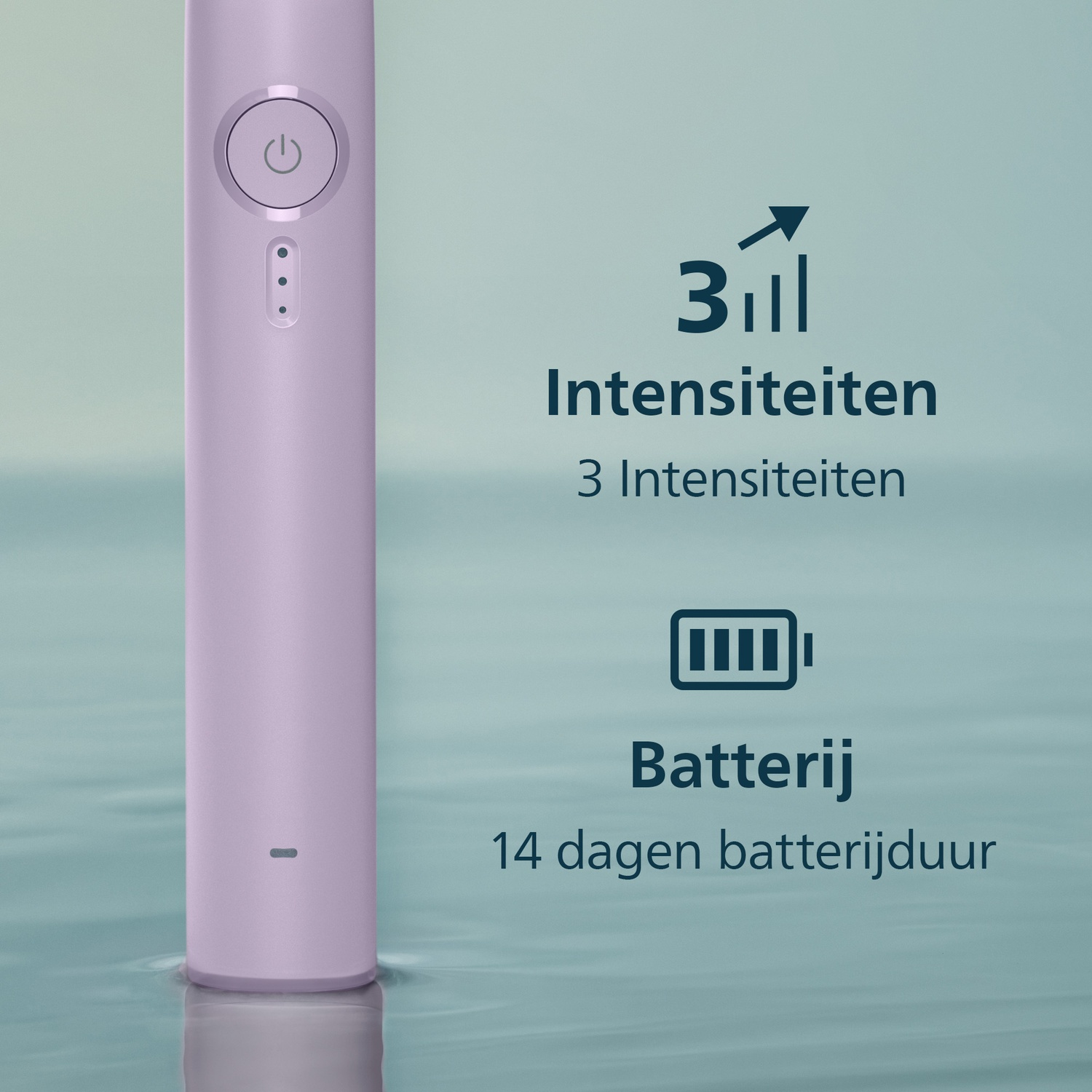 Paarse elektrische tandenborstel met 3 standen en 14 dagen batterijduur.