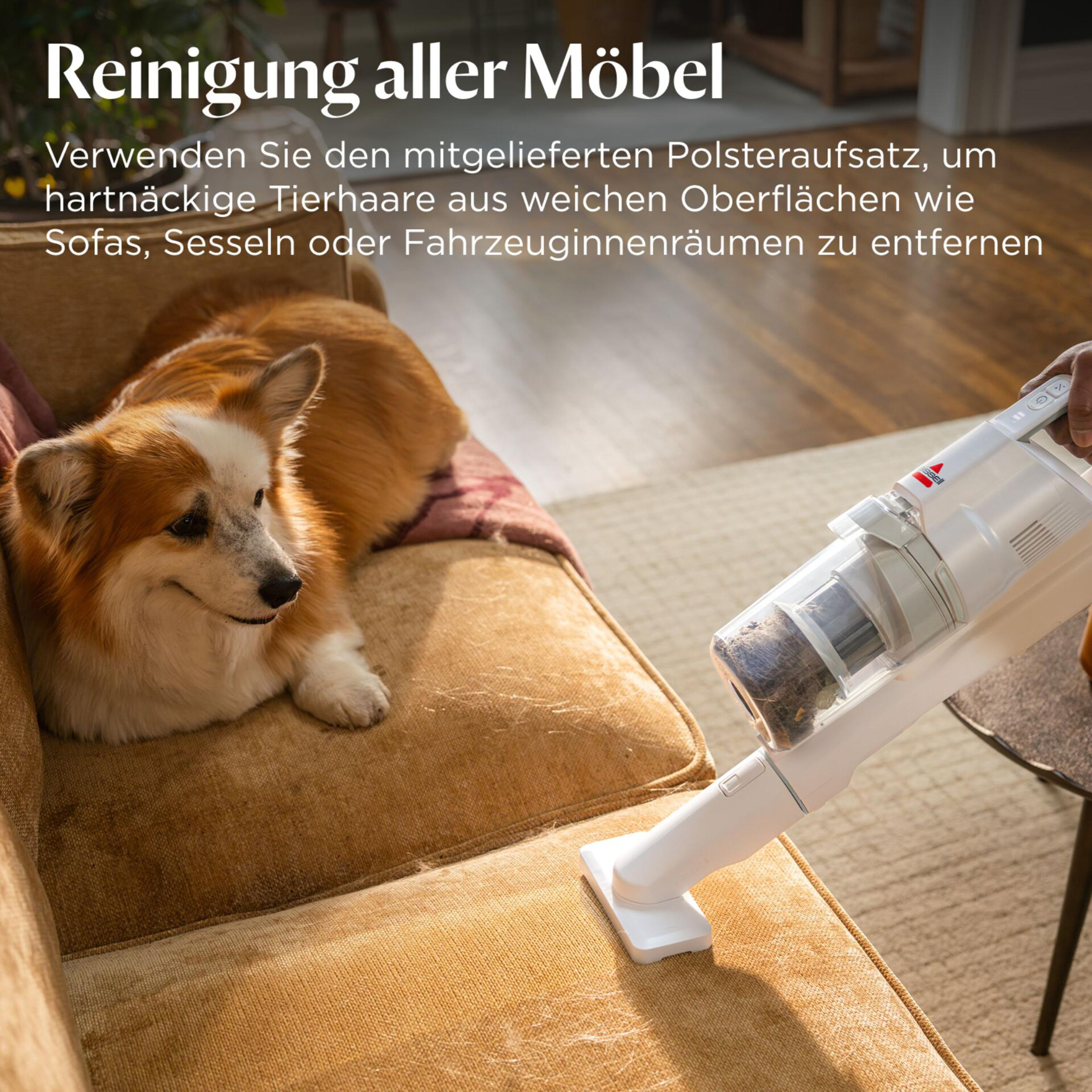 Ein Hund liegt auf einem Sofa, während ein Handstaubsauger ihn absaugt.