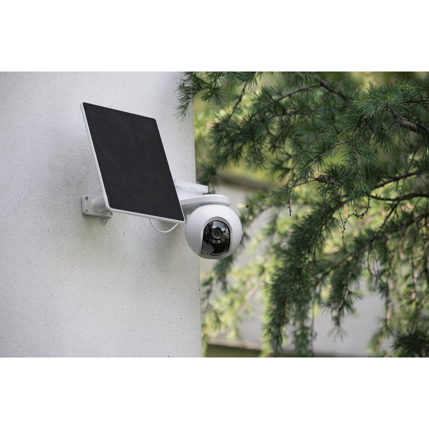 A white security camera with a solar panel mounted on a wall, next to green branches.