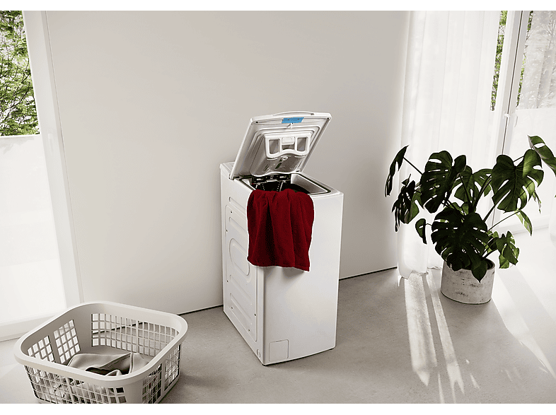 Vista 3