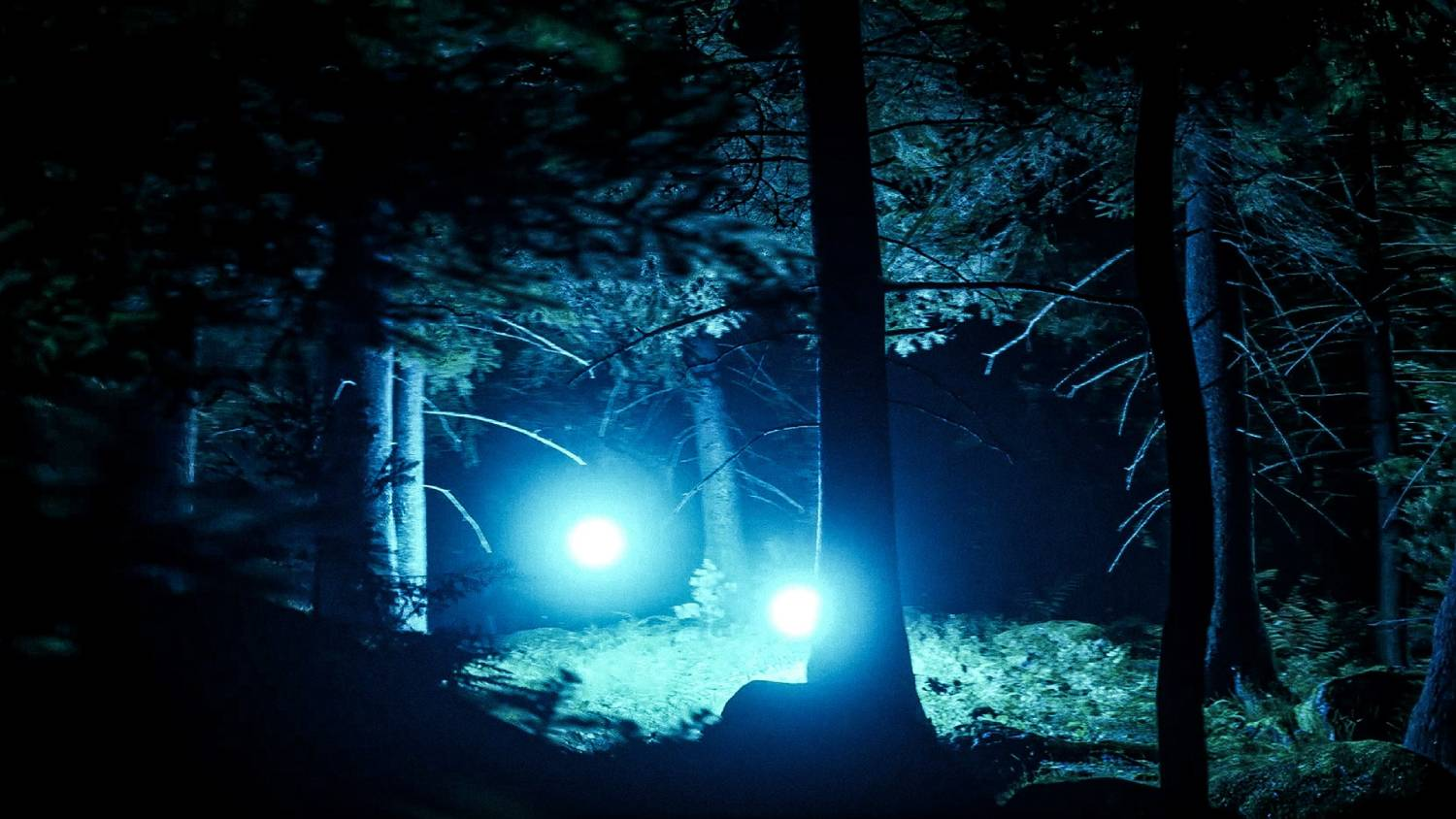 Dos luces brillantes brillan en un bosque oscuro con árboles.