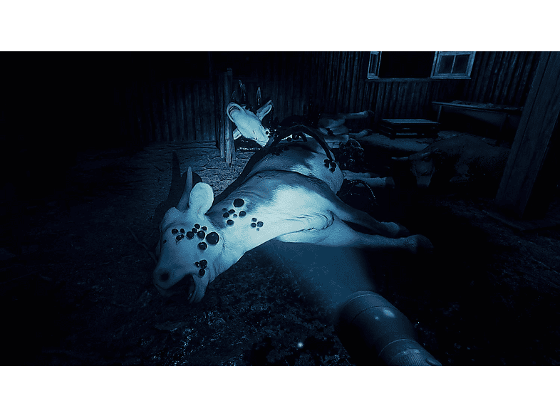 They are here – imagen 3