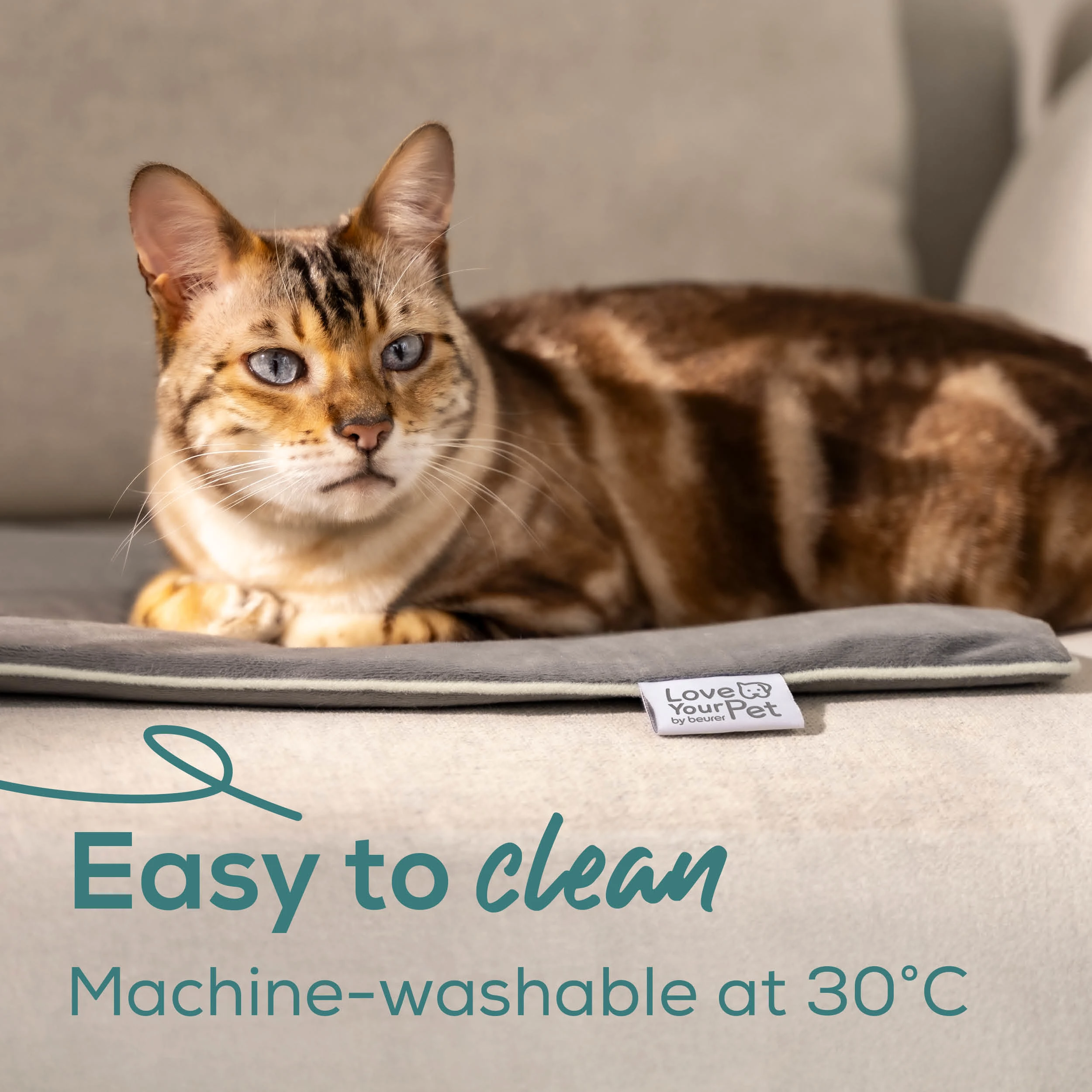 Ein Bengal-Katze liegt auf einer grauen Decke mit der Aufschrift "Easy to clean".