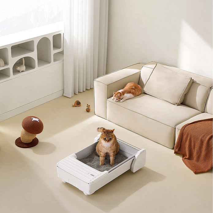 Zwei Katzen in einem minimalistischen Wohnzimmer. Eine auf einer Couch, eine in einer Katzentoilette.