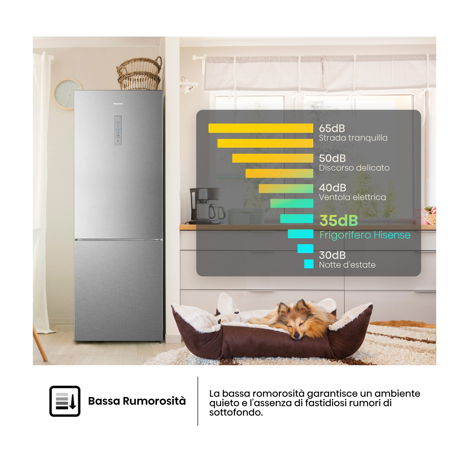 Un frigorifero argentato accanto a un cane in una cuccia. Un grafico indica 35dB per il frigorifero.