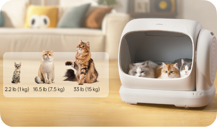 Drei Katzen in einer selbstreinigenden Katzentoilette; daneben drei Katzen unterschiedlicher Größe.