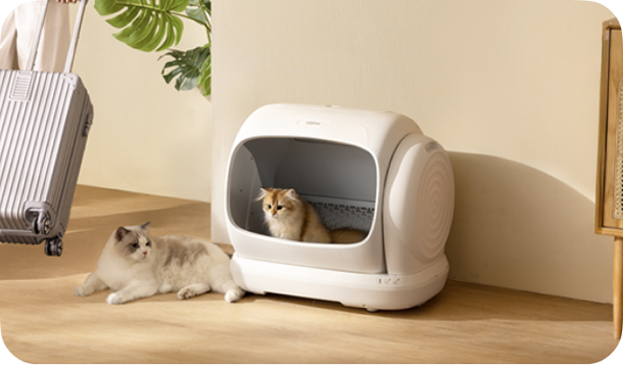 Zwei Katzen in der Nähe einer weißen automatischen Katzentoilette. Eine Katze liegt auf dem Boden, eine sitzt drinnen.