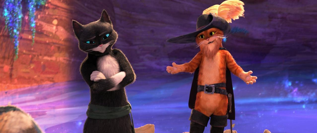 Zwei Zeichentrickkatzen, eine schwarz und eine orange, stehen in einer Höhle.