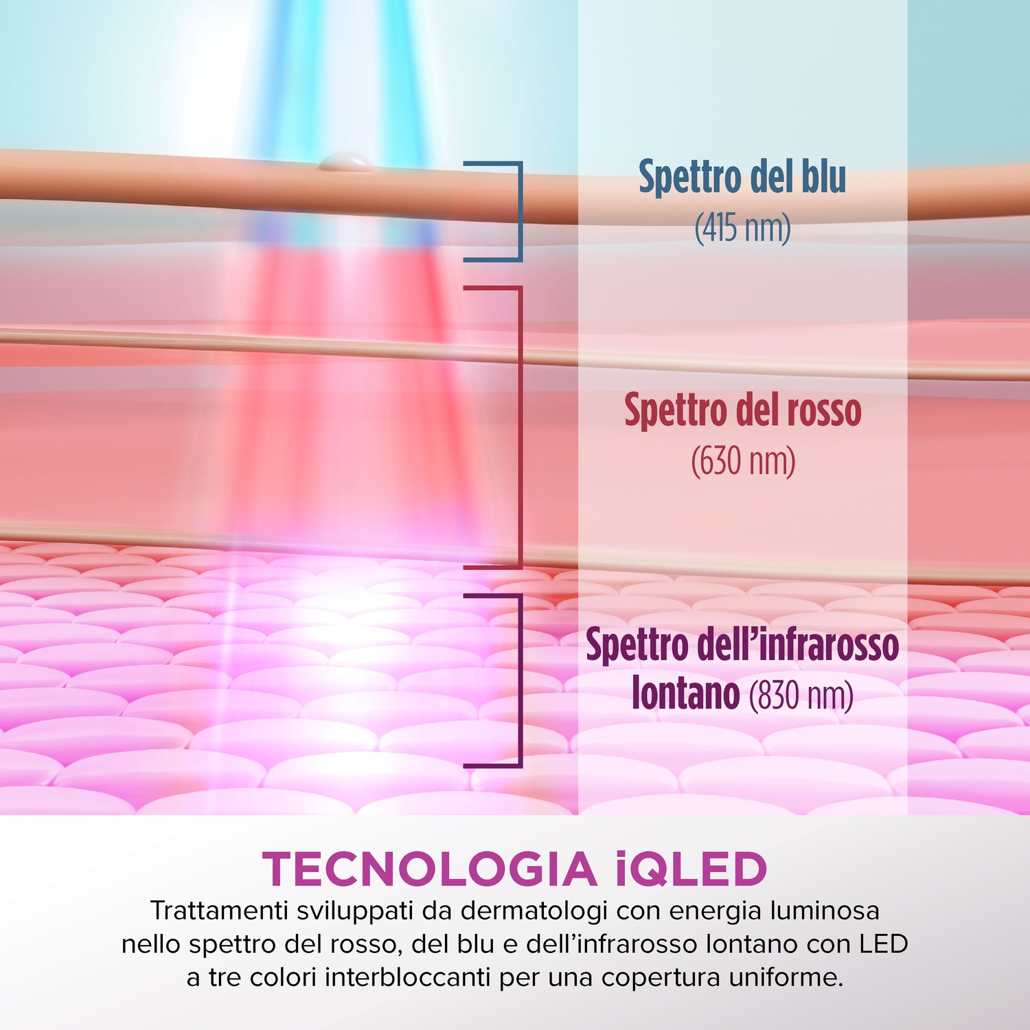 Illustrazione strati cutanei con luce blu, rossa e infrarossa.