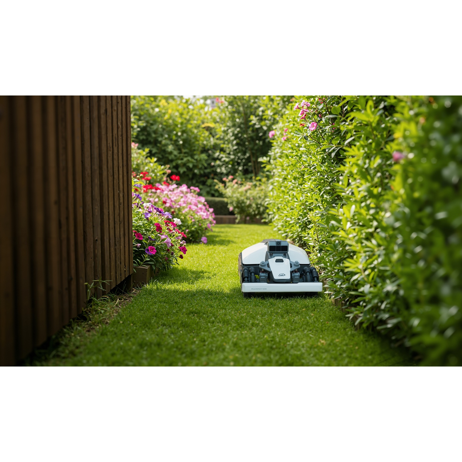 Un robot tosaerba bianco è sull'erba verde vicino a una siepe e fiori.