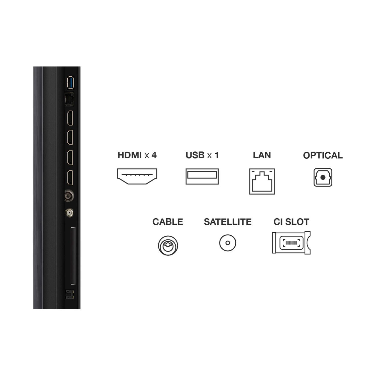 Porte: HDMI x4, USB x1, LAN, Ottico, Cavo, Satellite, Slot CI.