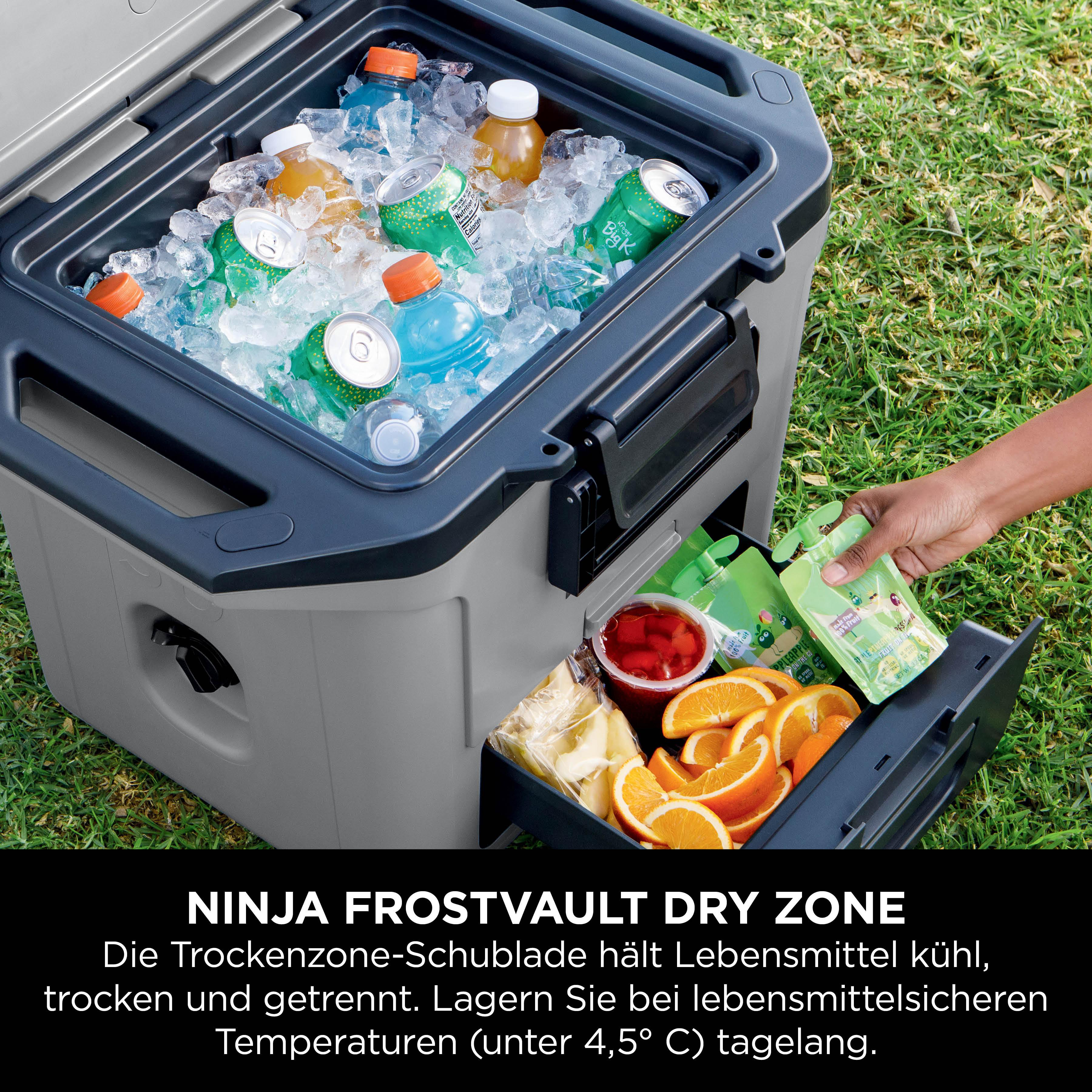 Eine Kühltruhe mit Eis, Getränken und Obst. Eine Hand legt Fruchtpüree hinein.