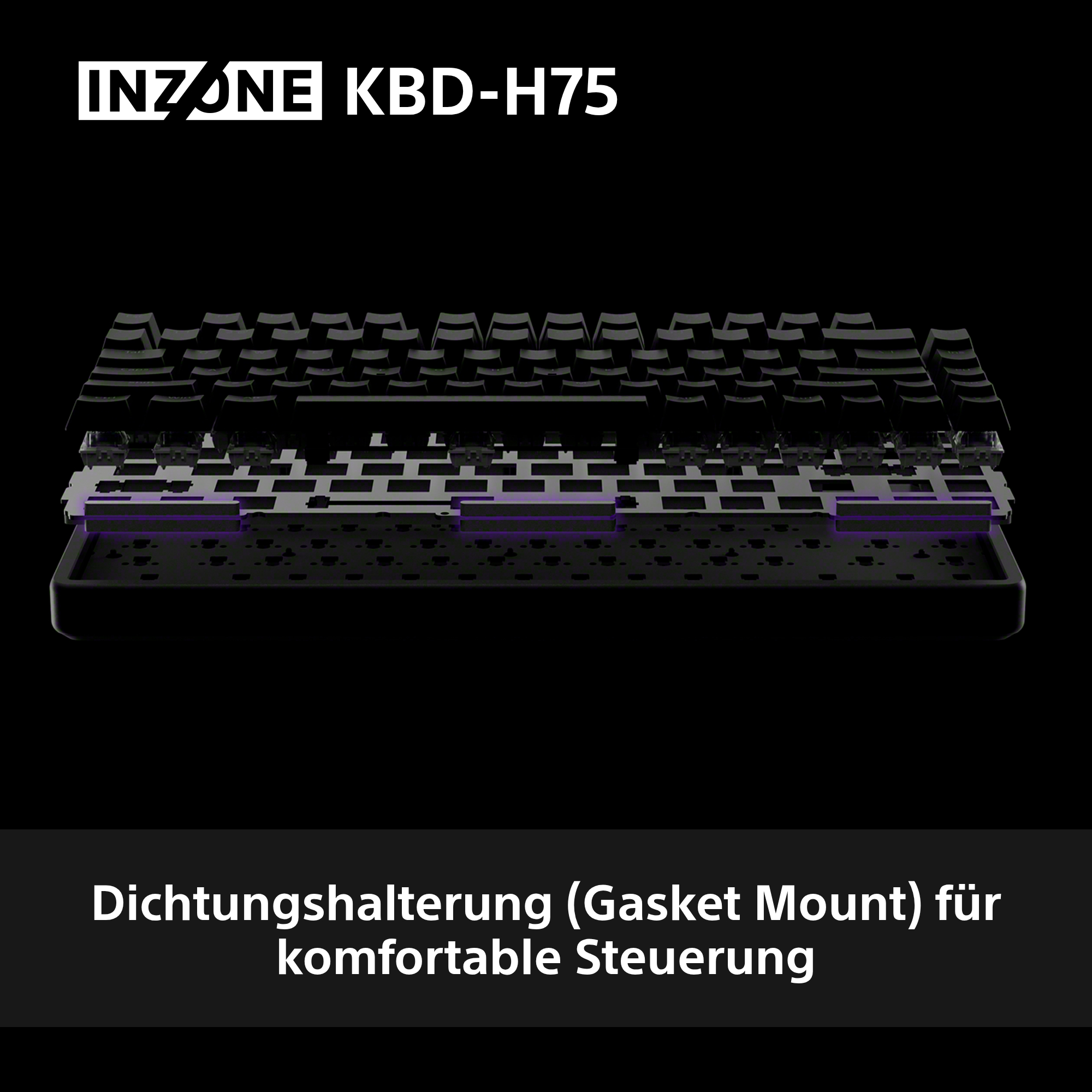Die Tastatur mit Gasket Mount-Technologie, lila Akzente.