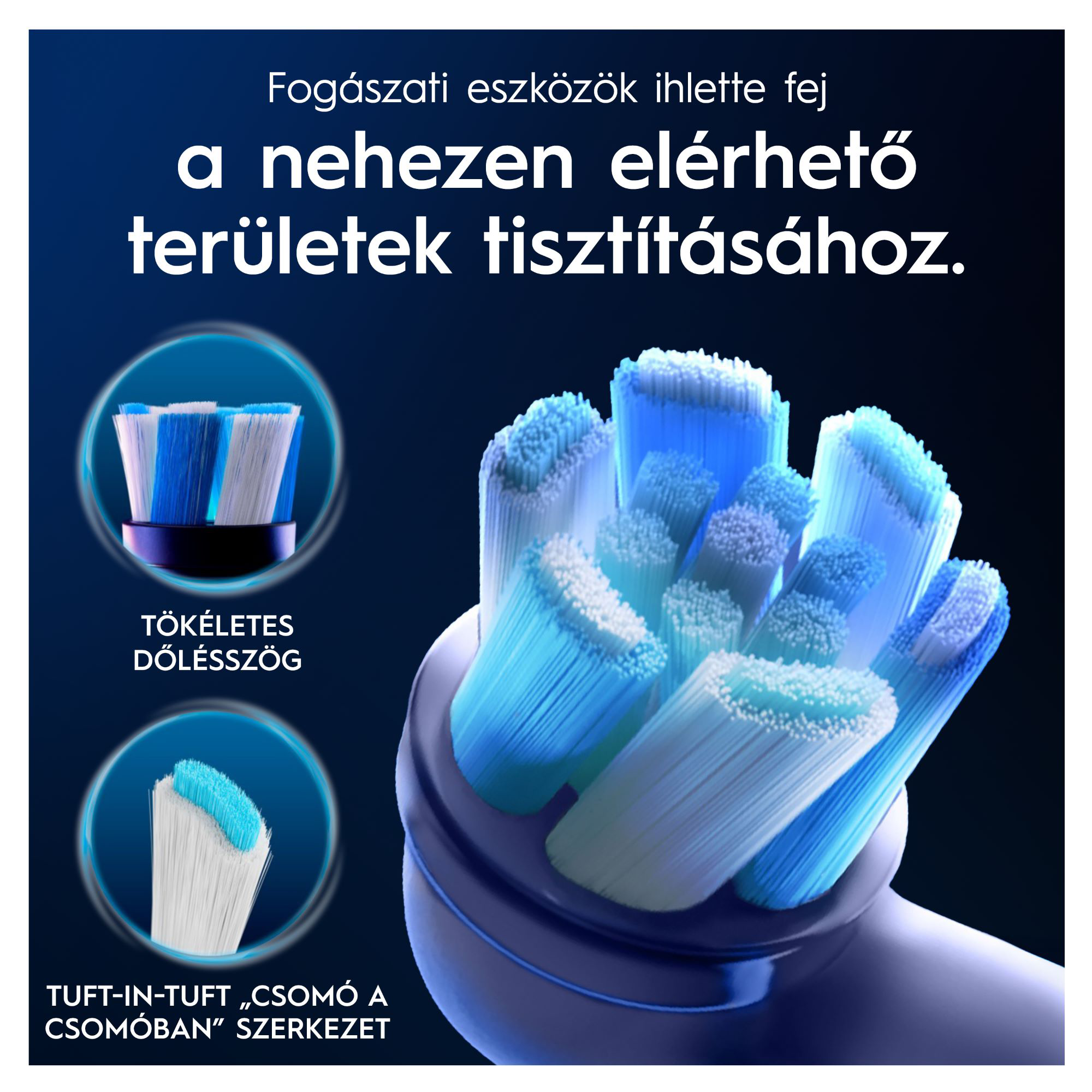 Elektromos fogkefe fej közeli képe kék és fehér sörtékkel.