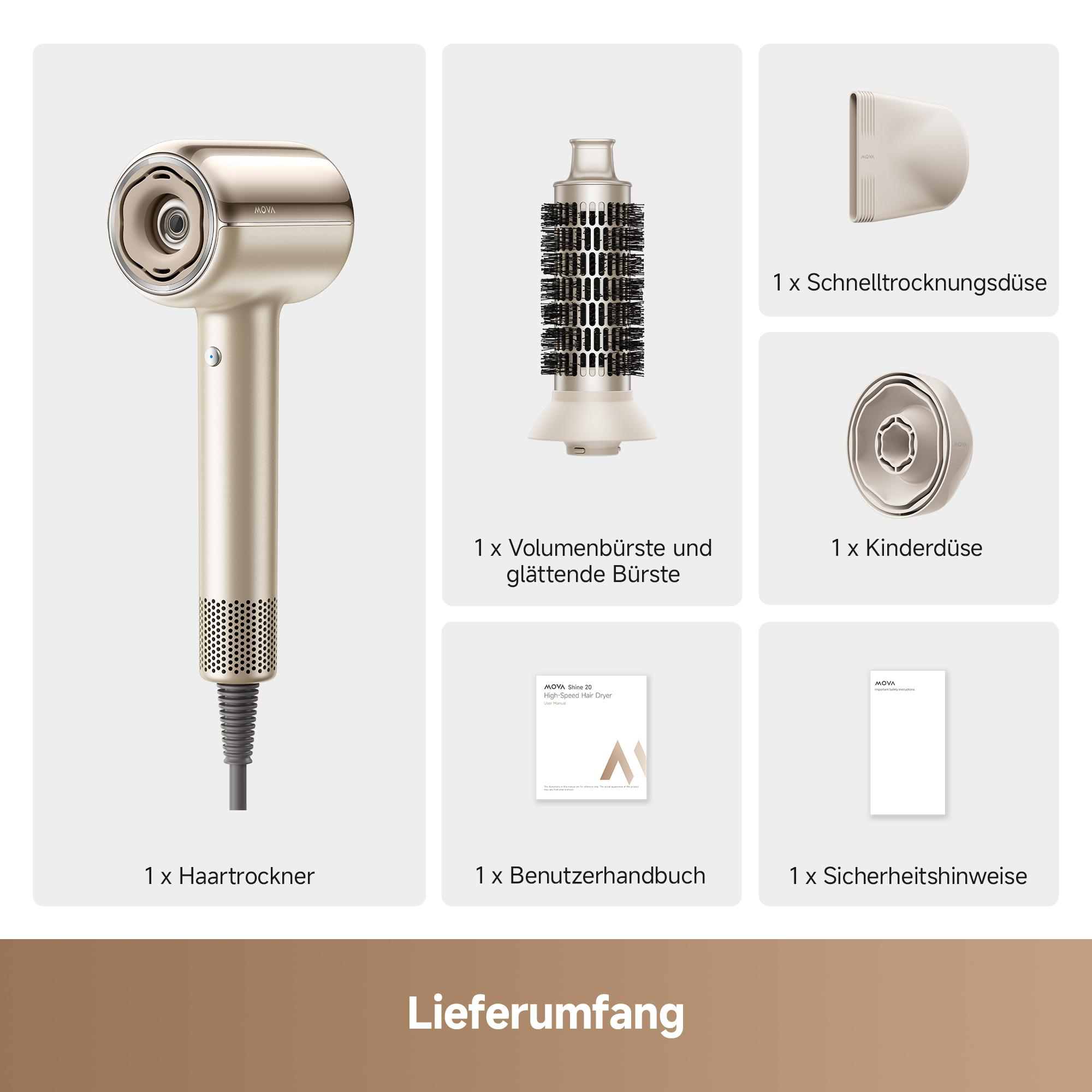 Ein goldener Haartrockner mit Zubehör: Bürsten, Düsen, Handbücher.