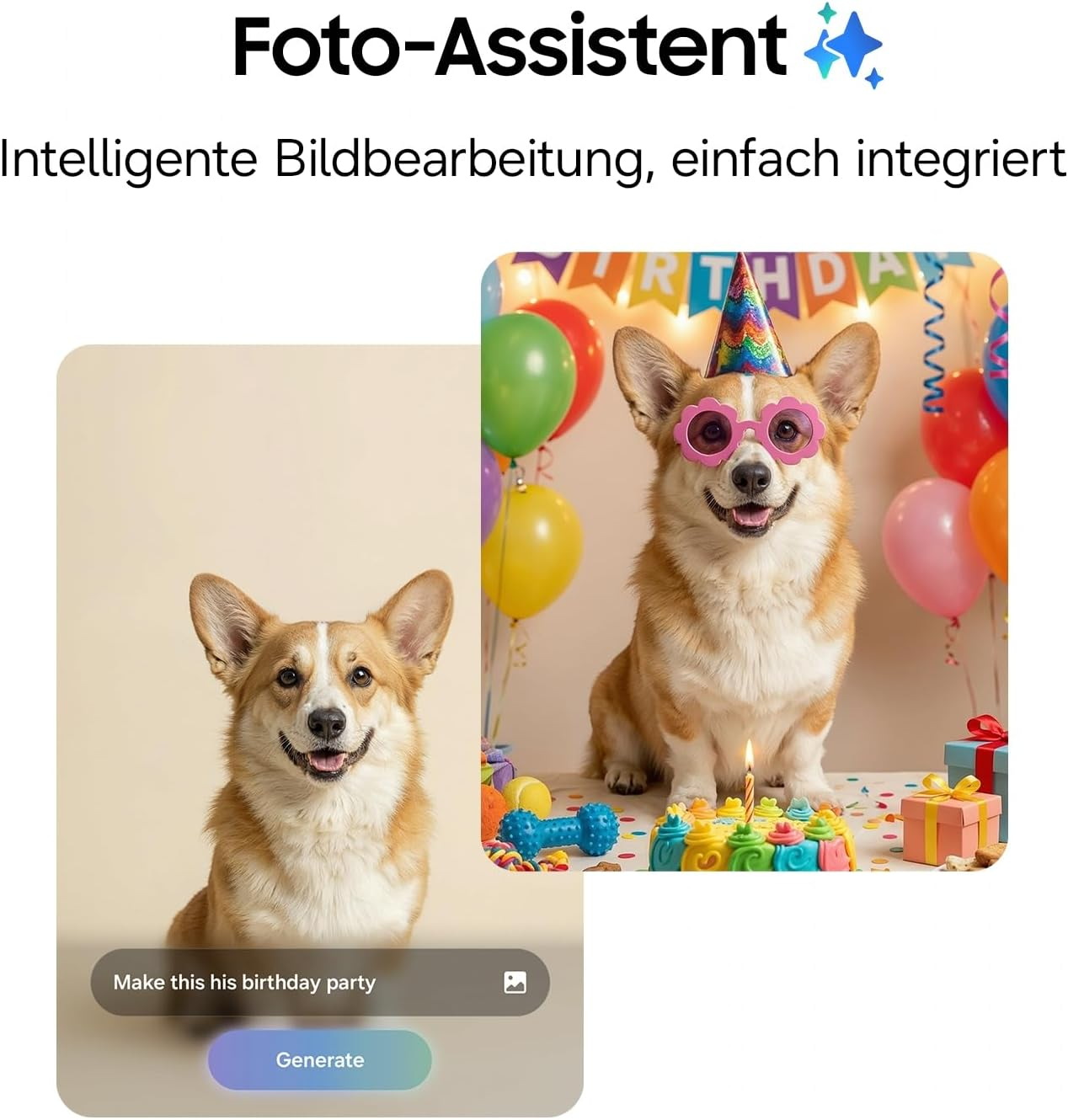 Corgi feiert Geburtstag mit Hut, Brille, Kuchen und Ballons.