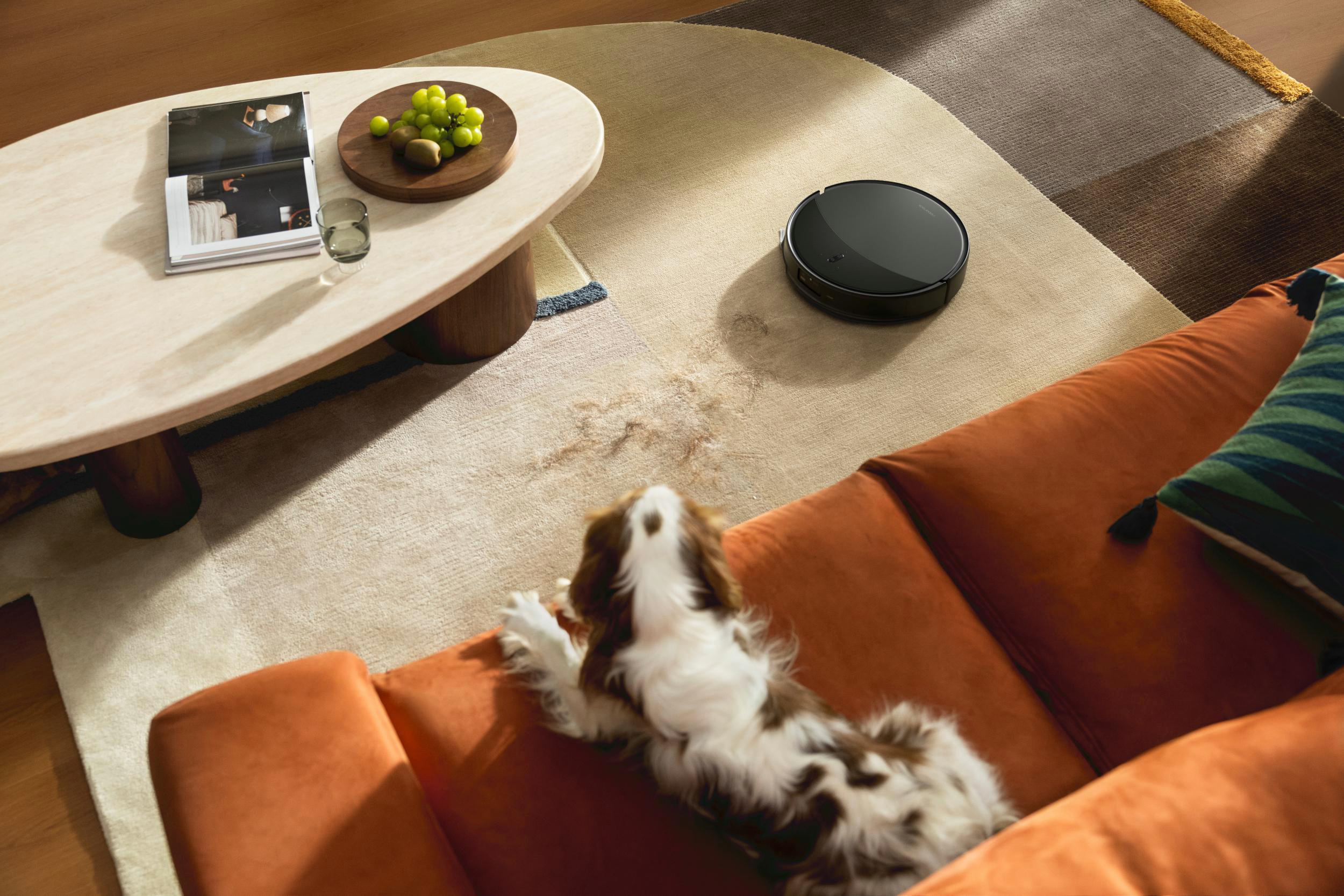Ein Saugroboter reinigt einen Teppich neben einem braunen Hund auf einem orangefarbenen Sofa.