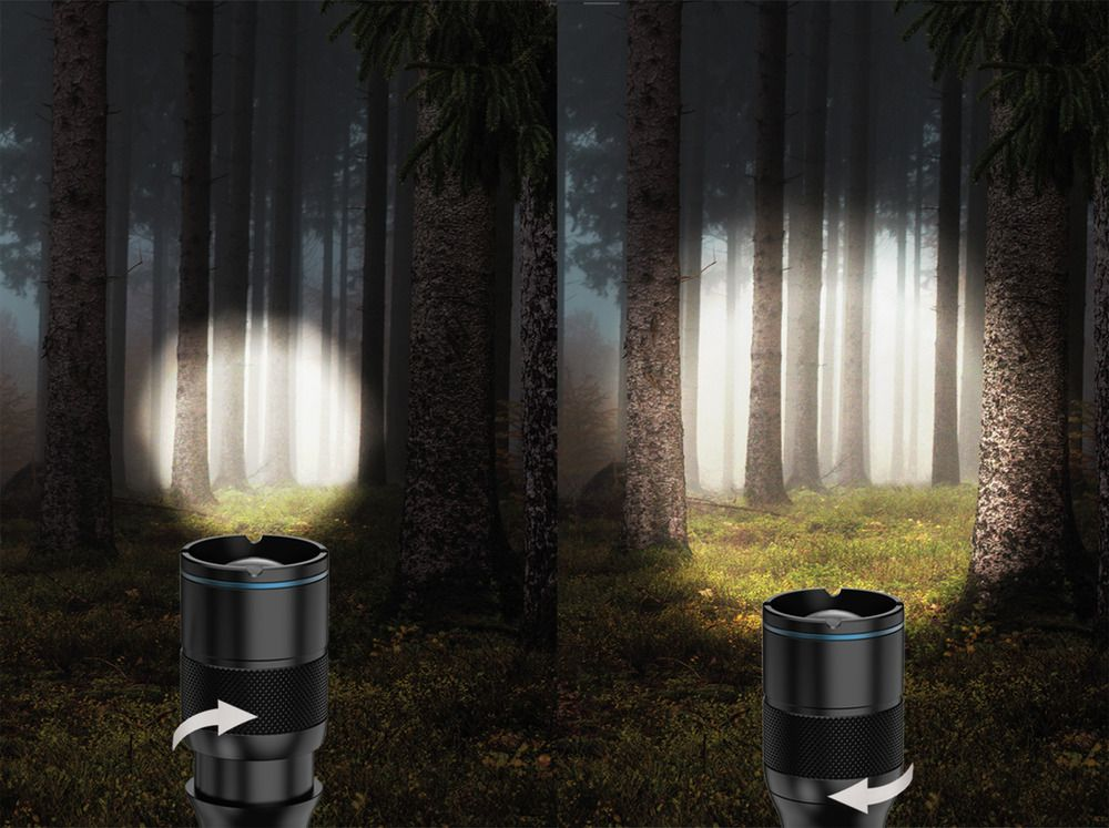 Taschenlampen in einem Wald, beleuchten den Weg