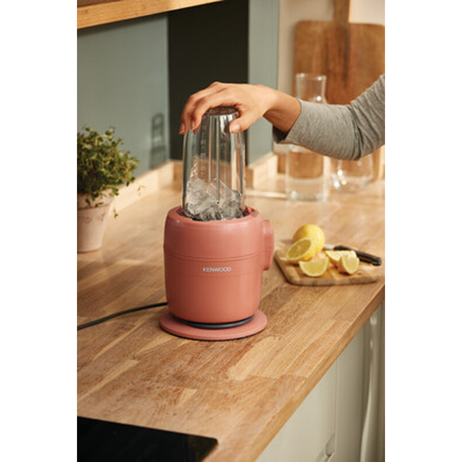 A hand adds ice to a pink blender on a kitchen counter.