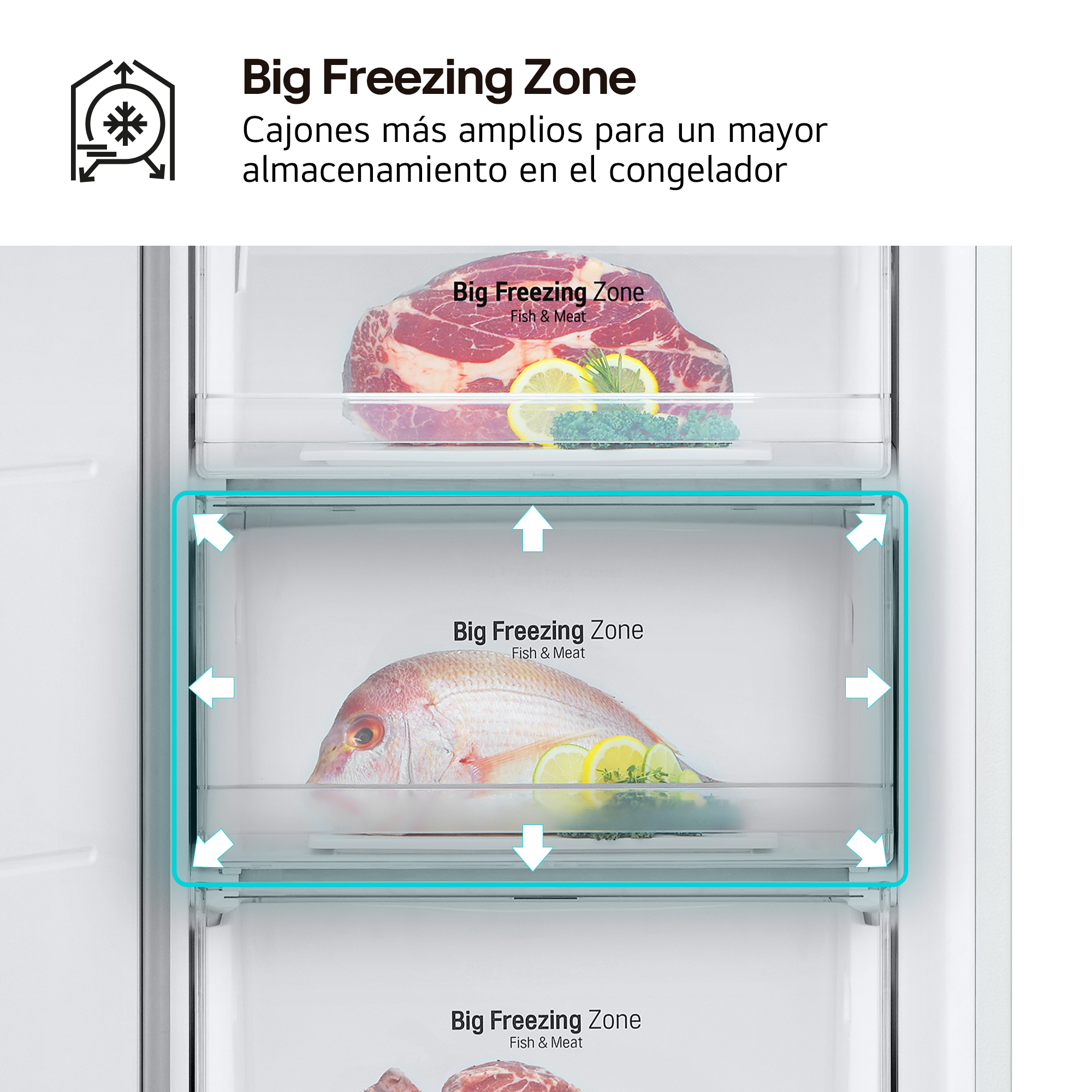 Cajones de refrigerador con carne y pescado, zona de congelación resaltada.