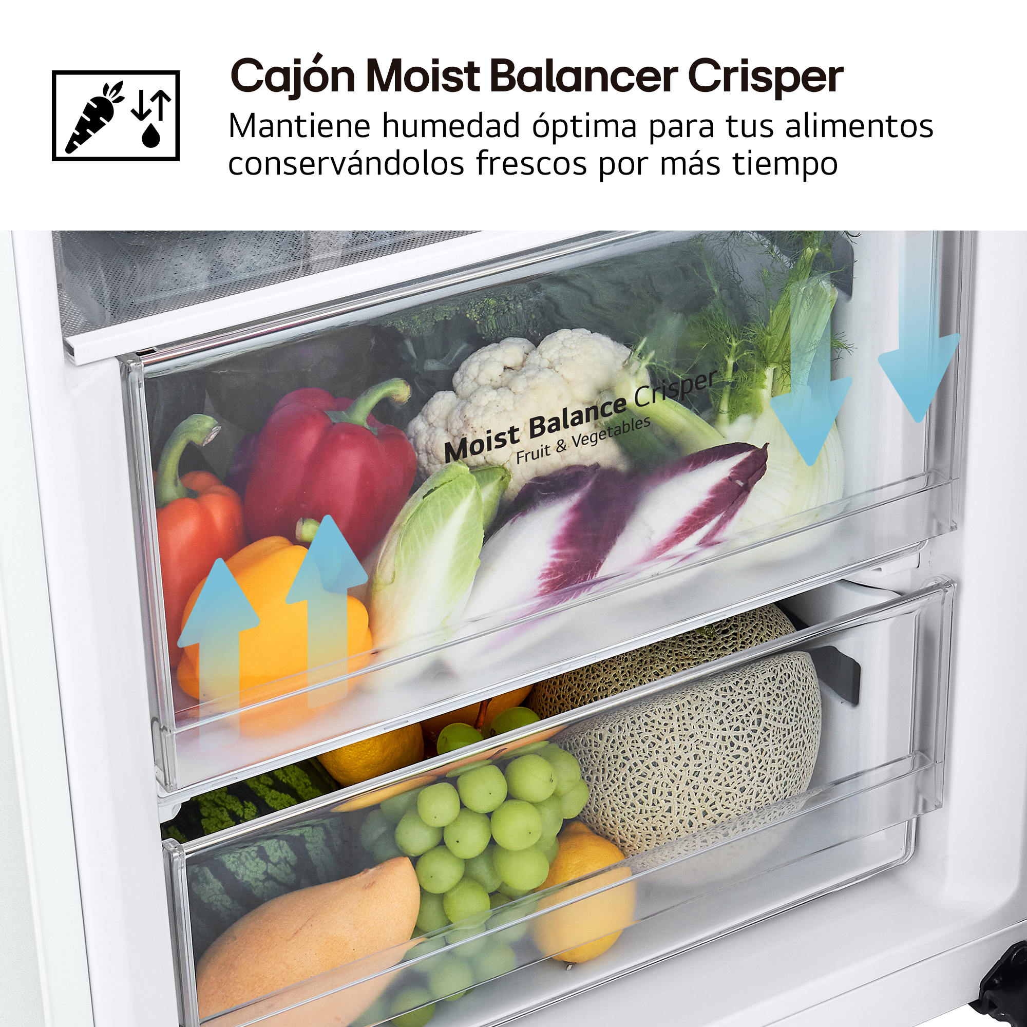Cajón Moist Balancer Crisper. Mantiene humedad óptima para tus alimentos conservándolos frescos por más tiempo
