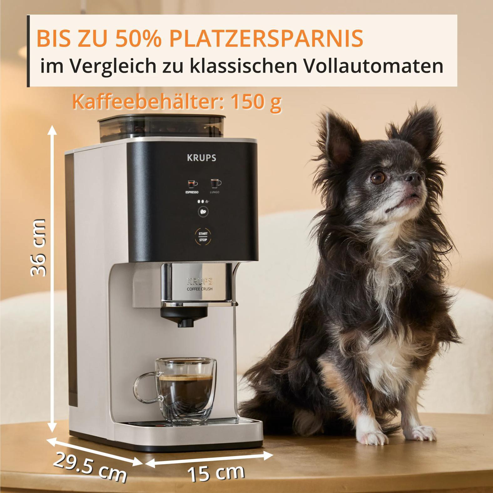 Kompakte Krups Kaffeemaschine mit Hund daneben. Maße: 36x15x29.5 cm.