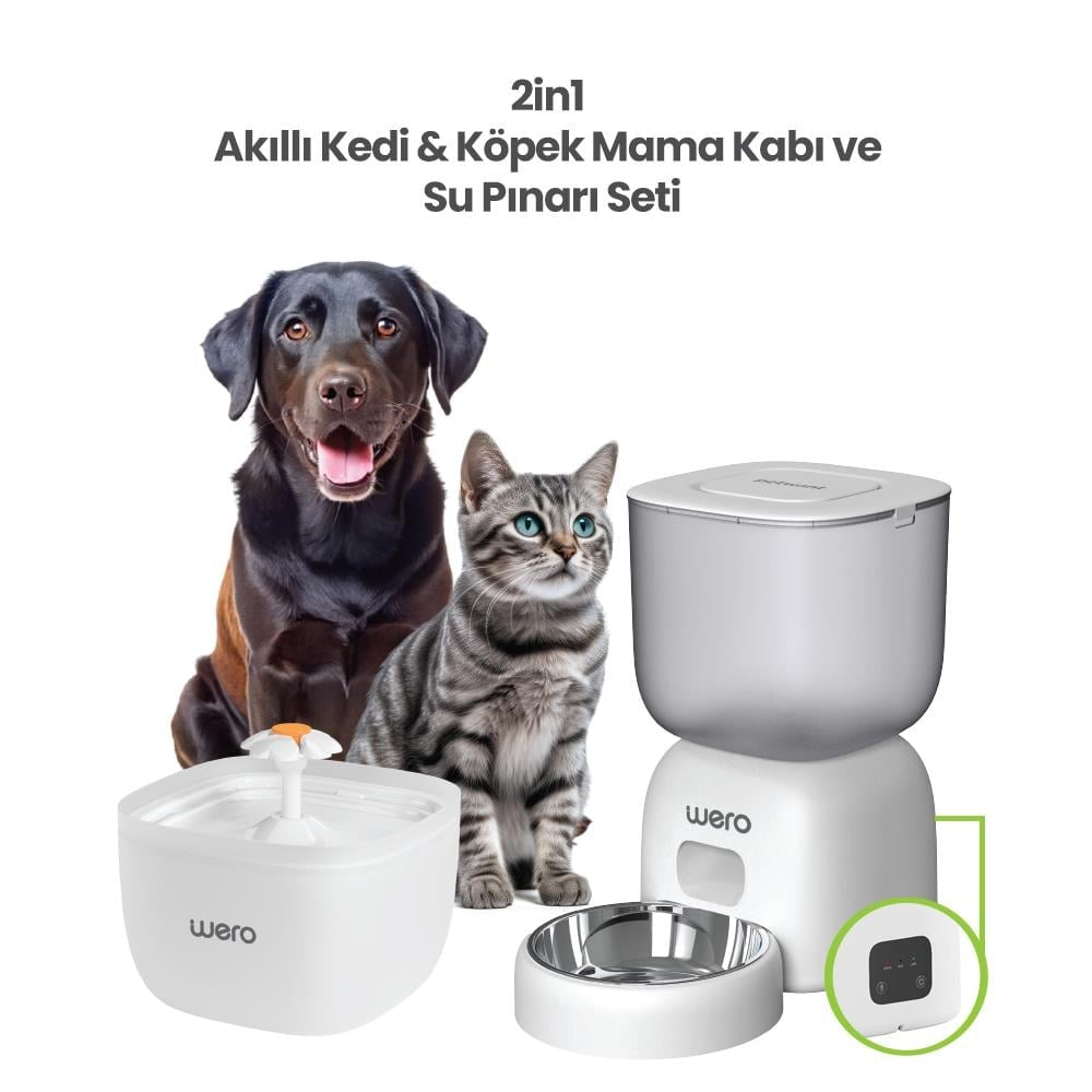 Bir Labrador köpek ve bir kedi, mama otomatı ve su sebili yanında.
