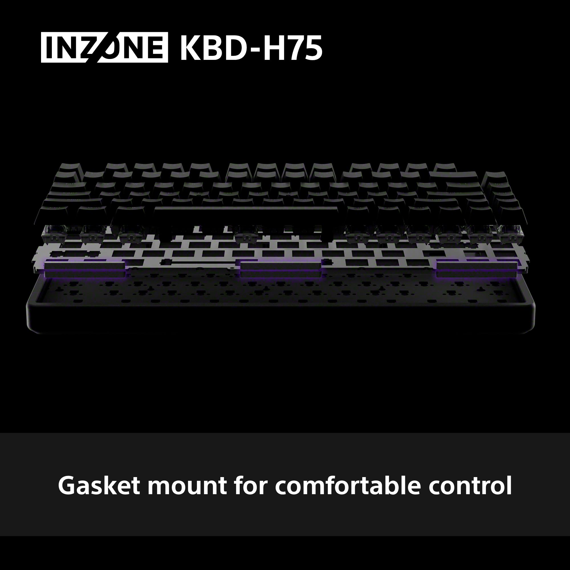 Explosionsansicht einer Tastatur mit violetten Gasket-Mounts.