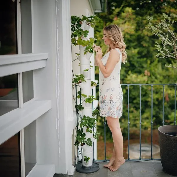Egy nő ruhában ellenőriz eper növényeket egy függőleges erkélykertben.