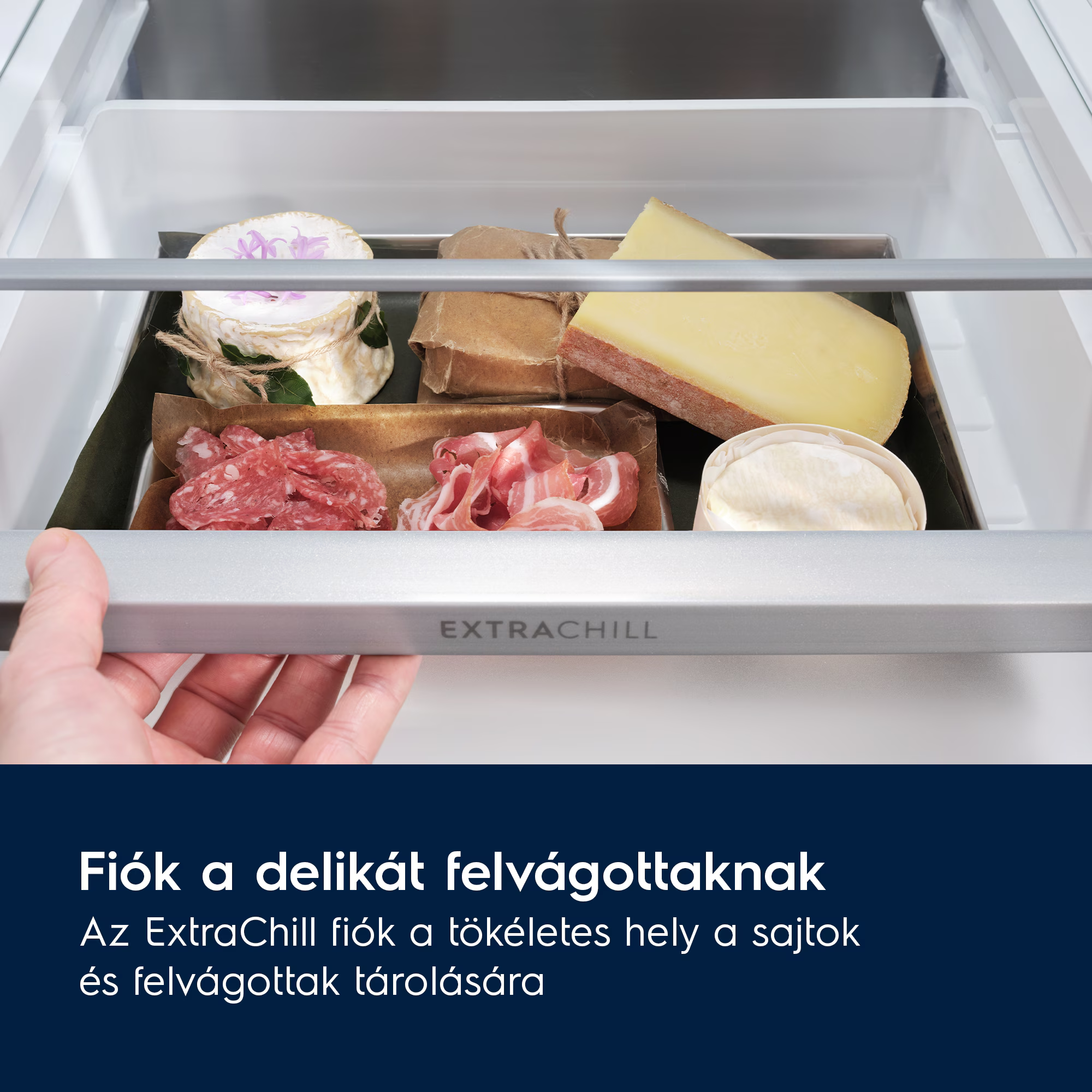 Delikát felvágott tartó fiók sajttal, szalámival, sonkával.