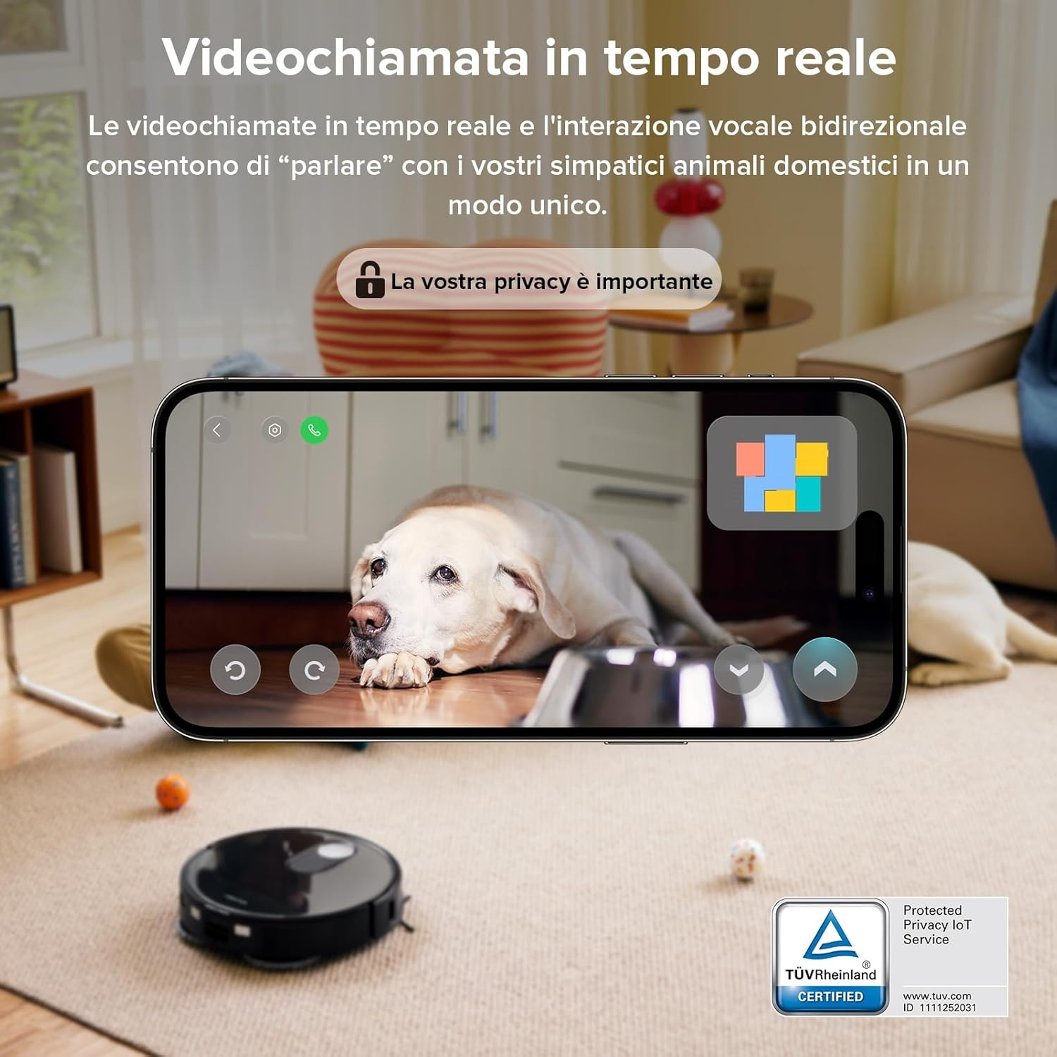 Un cane è sdraiato su un tappeto, ripreso da uno smartphone. Un robot aspirapolvere è in primo piano.