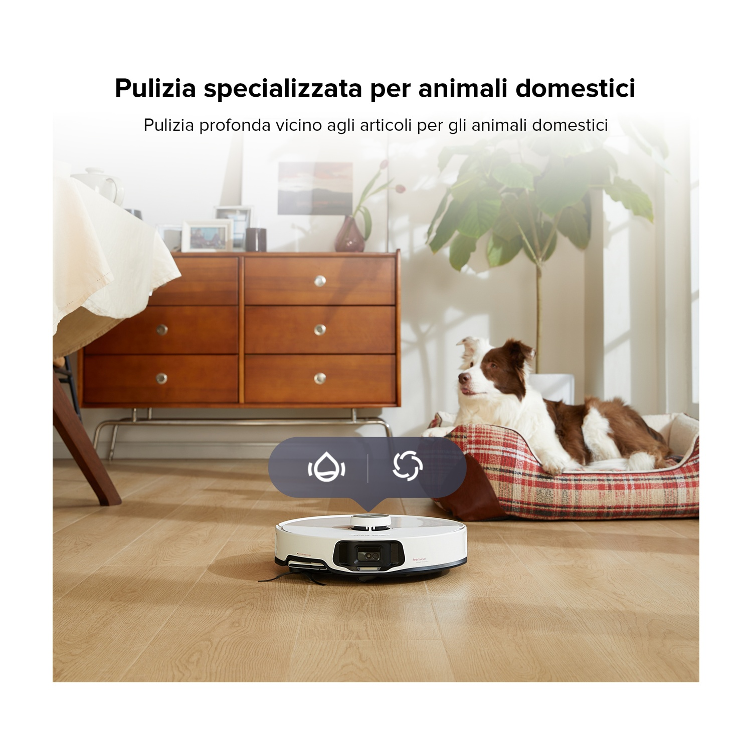 Un robot aspirapolvere pulisce un pavimento in legno vicino a un cane nella sua cuccia.
