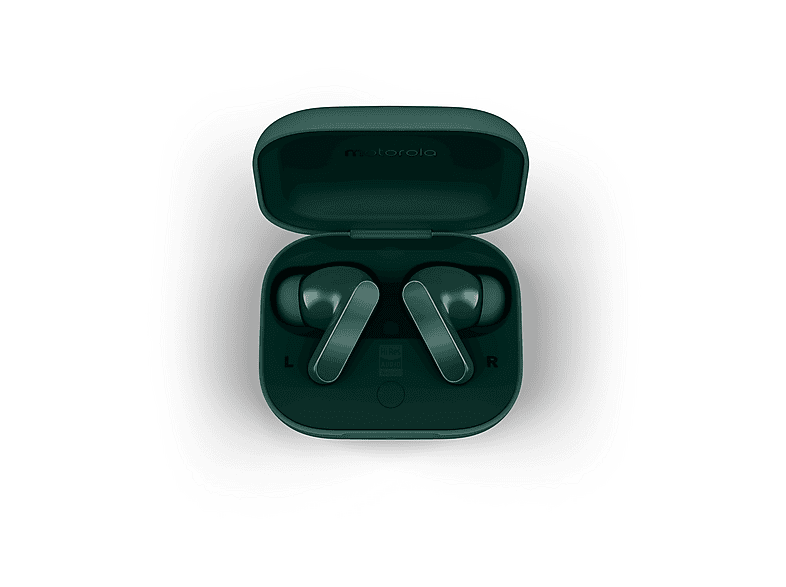 MOTOROLA MOTO BUDS BASS Auricolari wireless, POSY GREEN