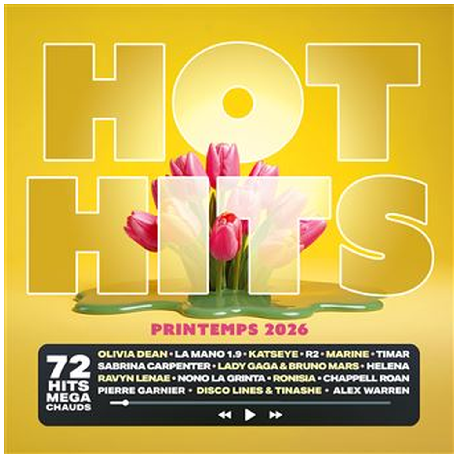 Gouden HOT HITS belettering boven tulpen en groene vloeistof. Lijst met artiesten.