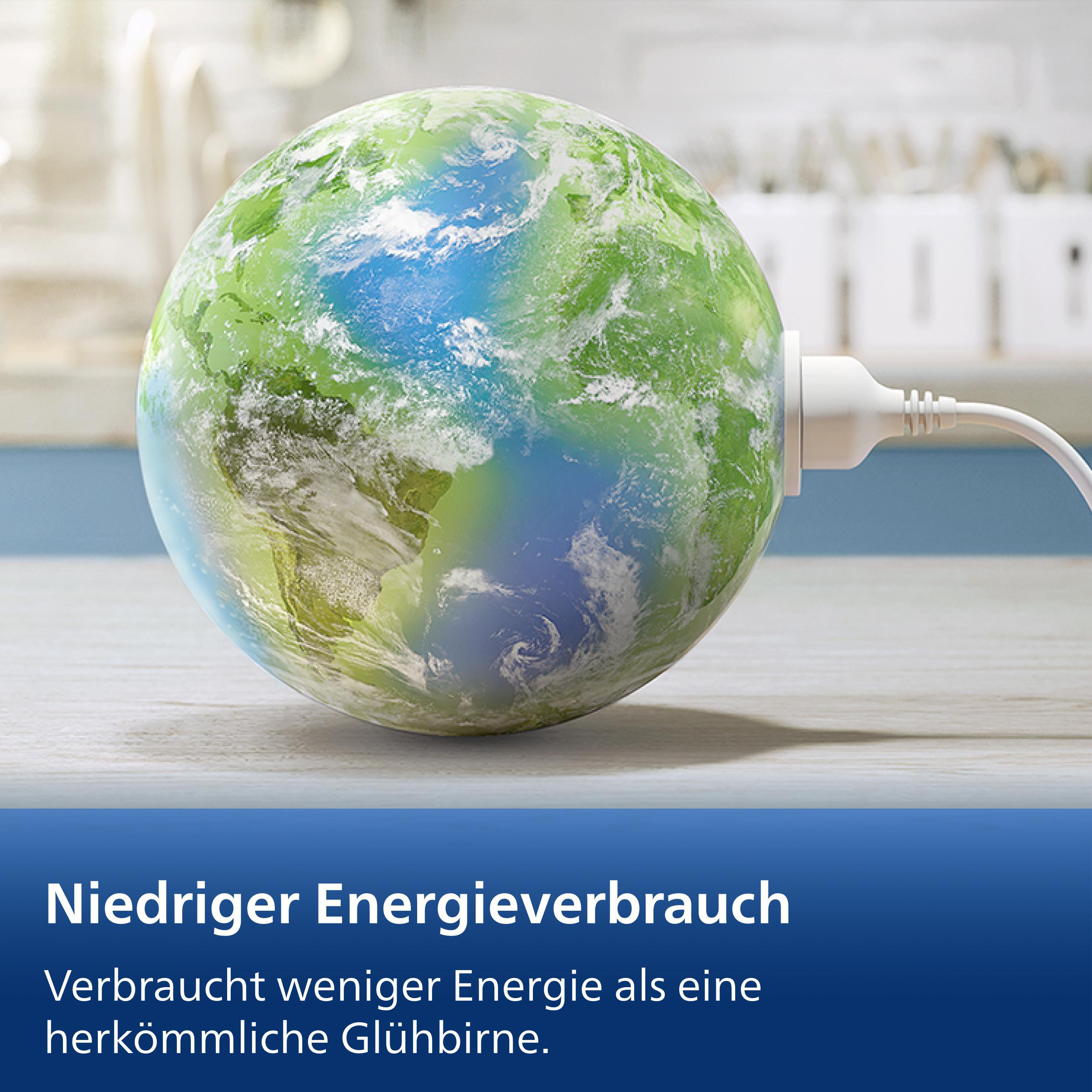 Die Erde ist mit einem Stecker verbunden, der niedrigen Energieverbrauch symbolisiert.