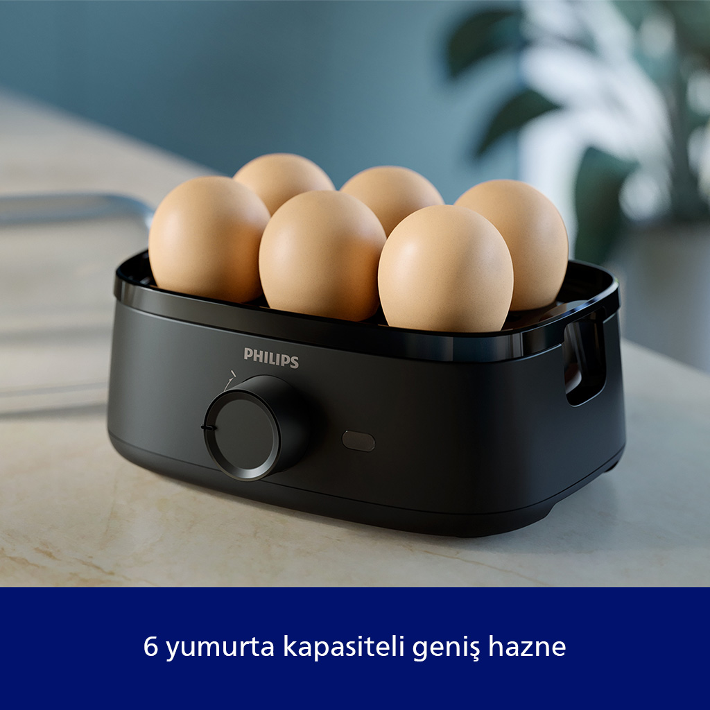 Altı kahverengi yumurta alan siyah Philips yumurtalık.