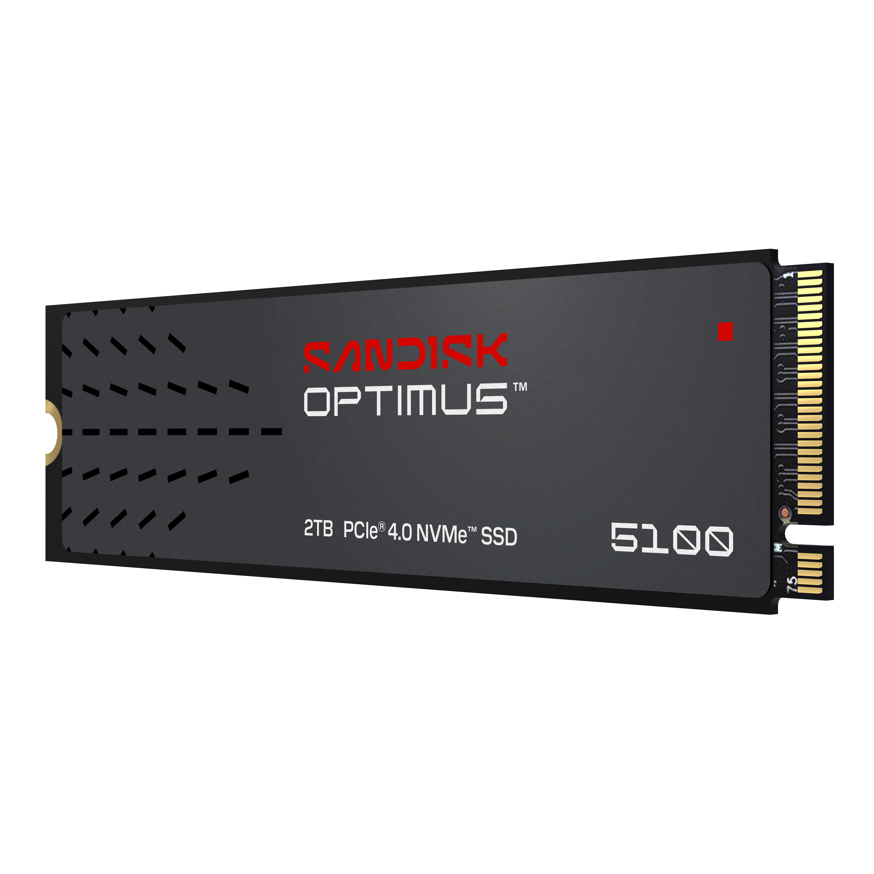 Sandisk Optimus 5100 2TB NVMe SSD mit goldfarbenem Anschluss.