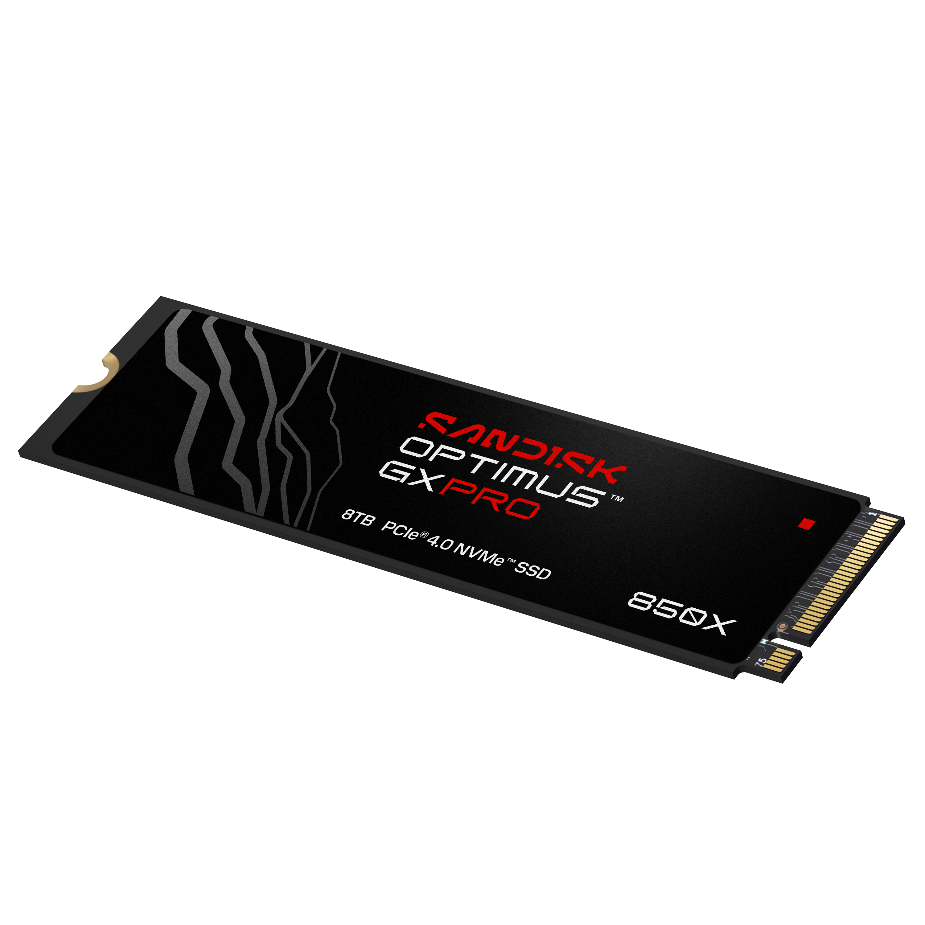 Eine schwarze SSD mit rotem Schriftzug und silbernen Anschlüssen.