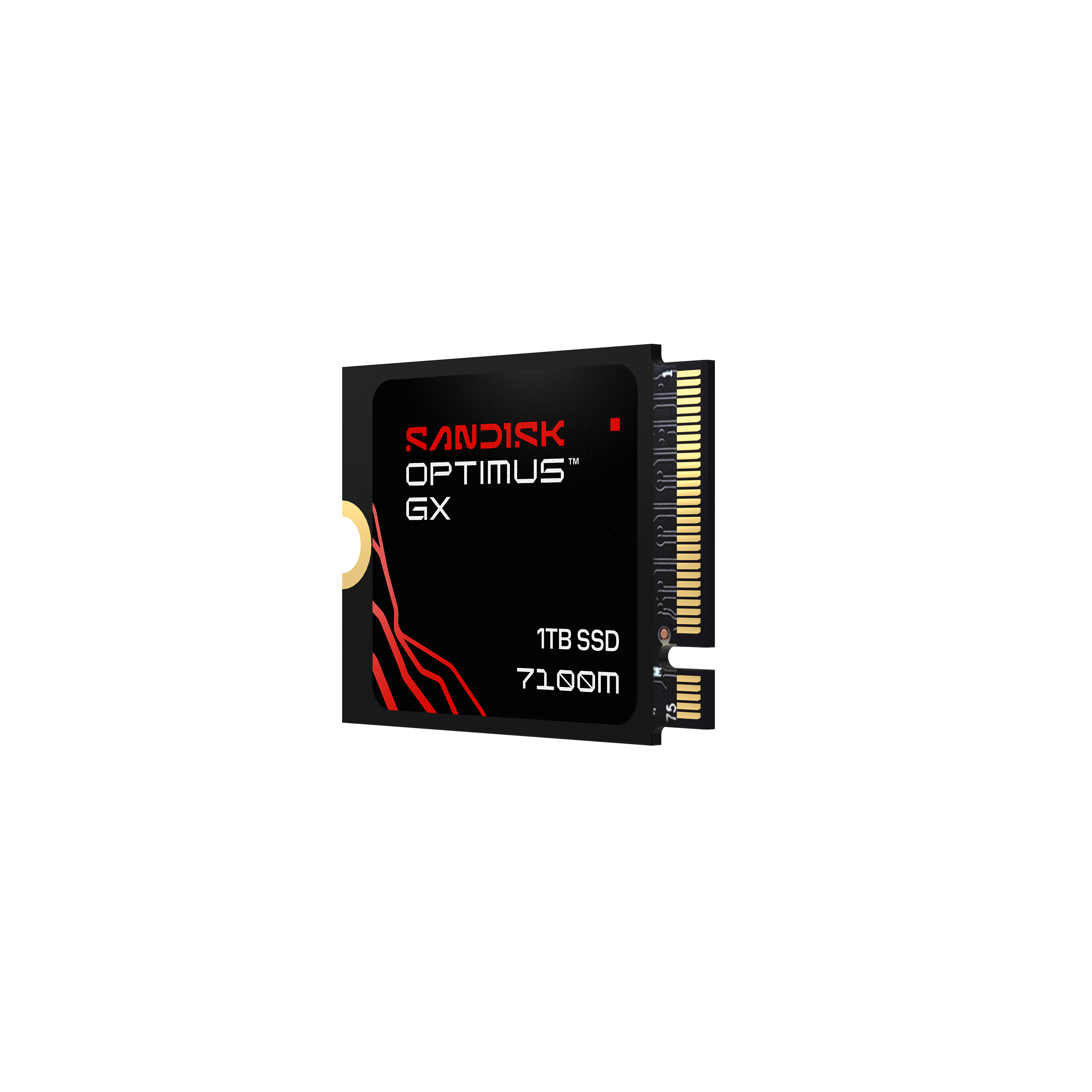 Sandisk Optimus GX 1TB SSD mit roten Akzenten und goldenen Pins.