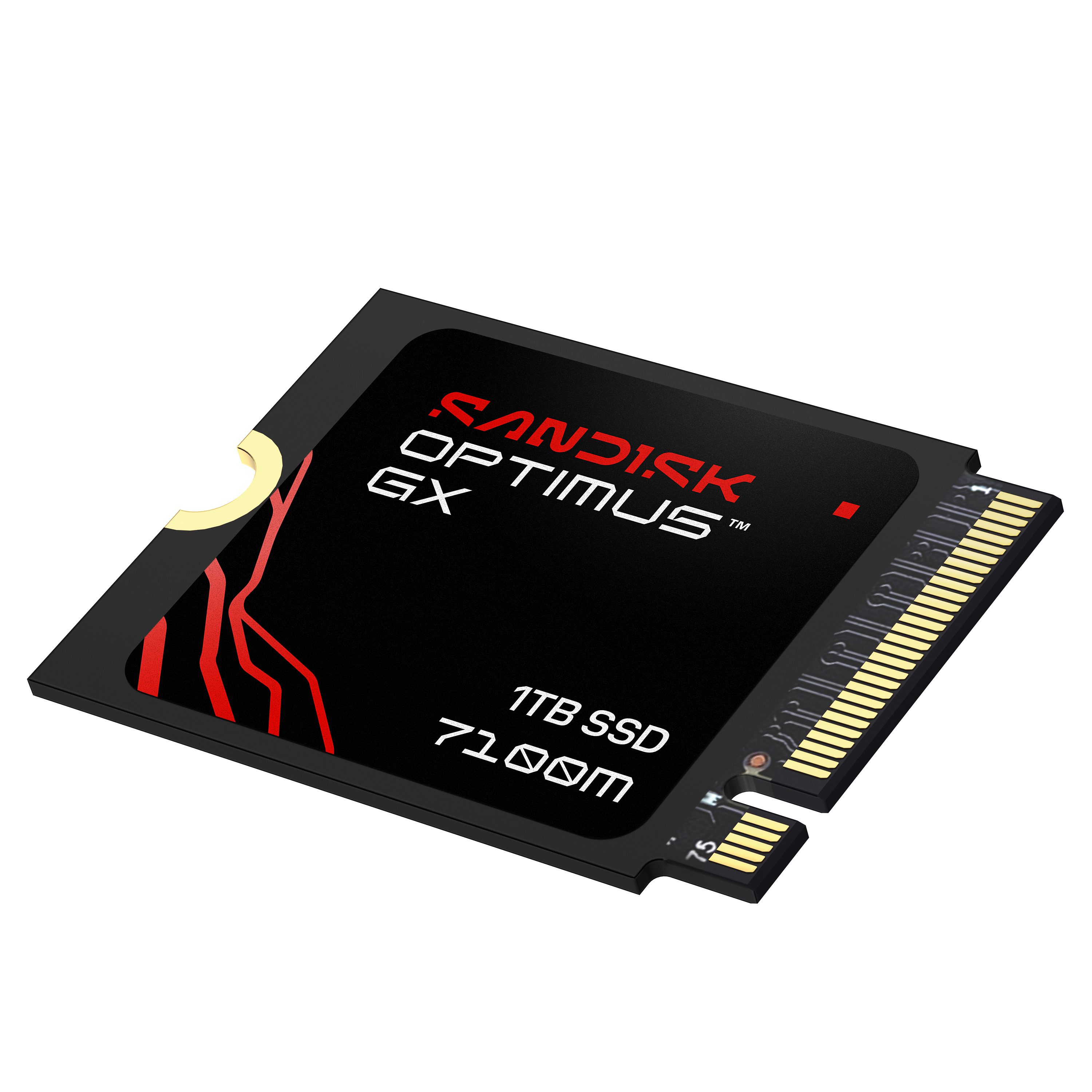 Schwarze SSD mit rotem Logo und goldenen Anschlüssen.