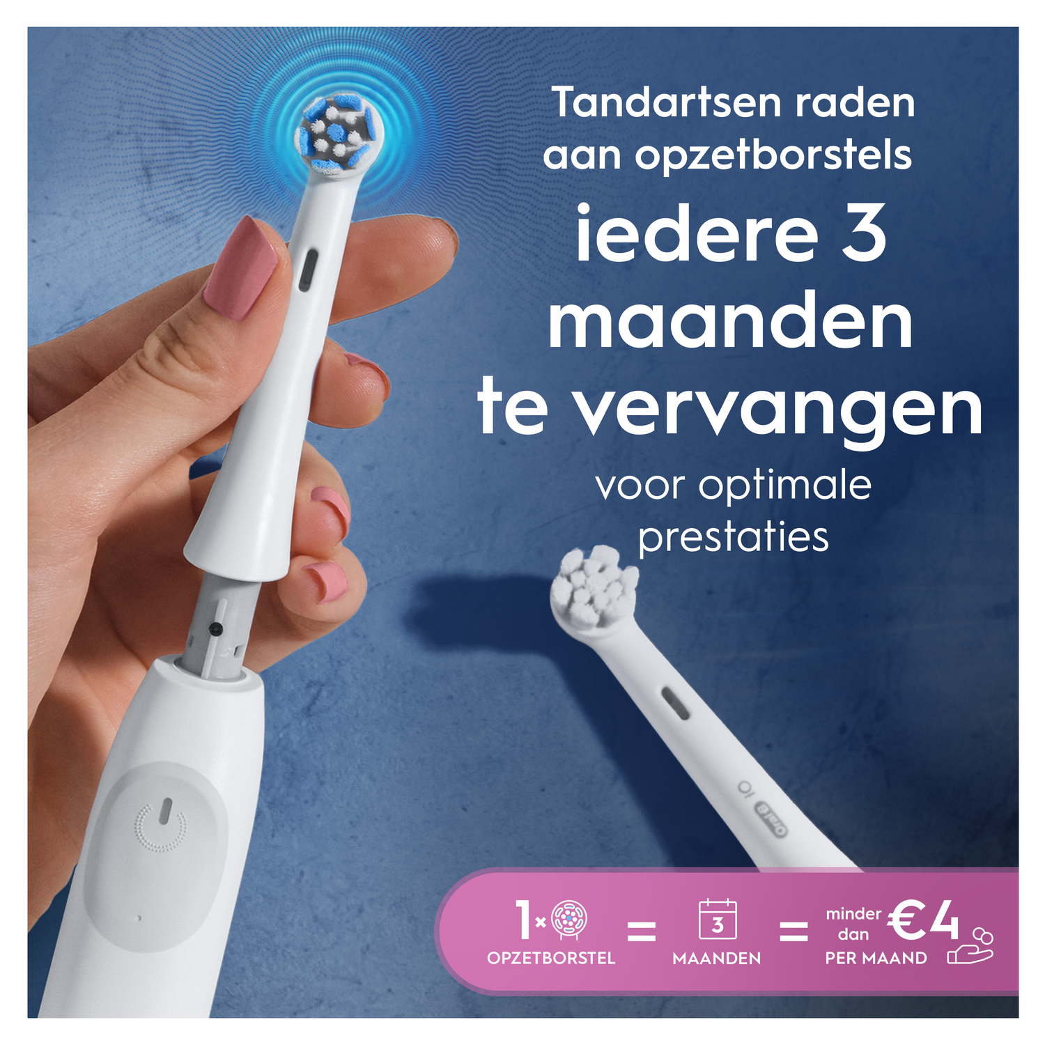 A hand holds a white toothbrush; heads should be replaced every 3 months.