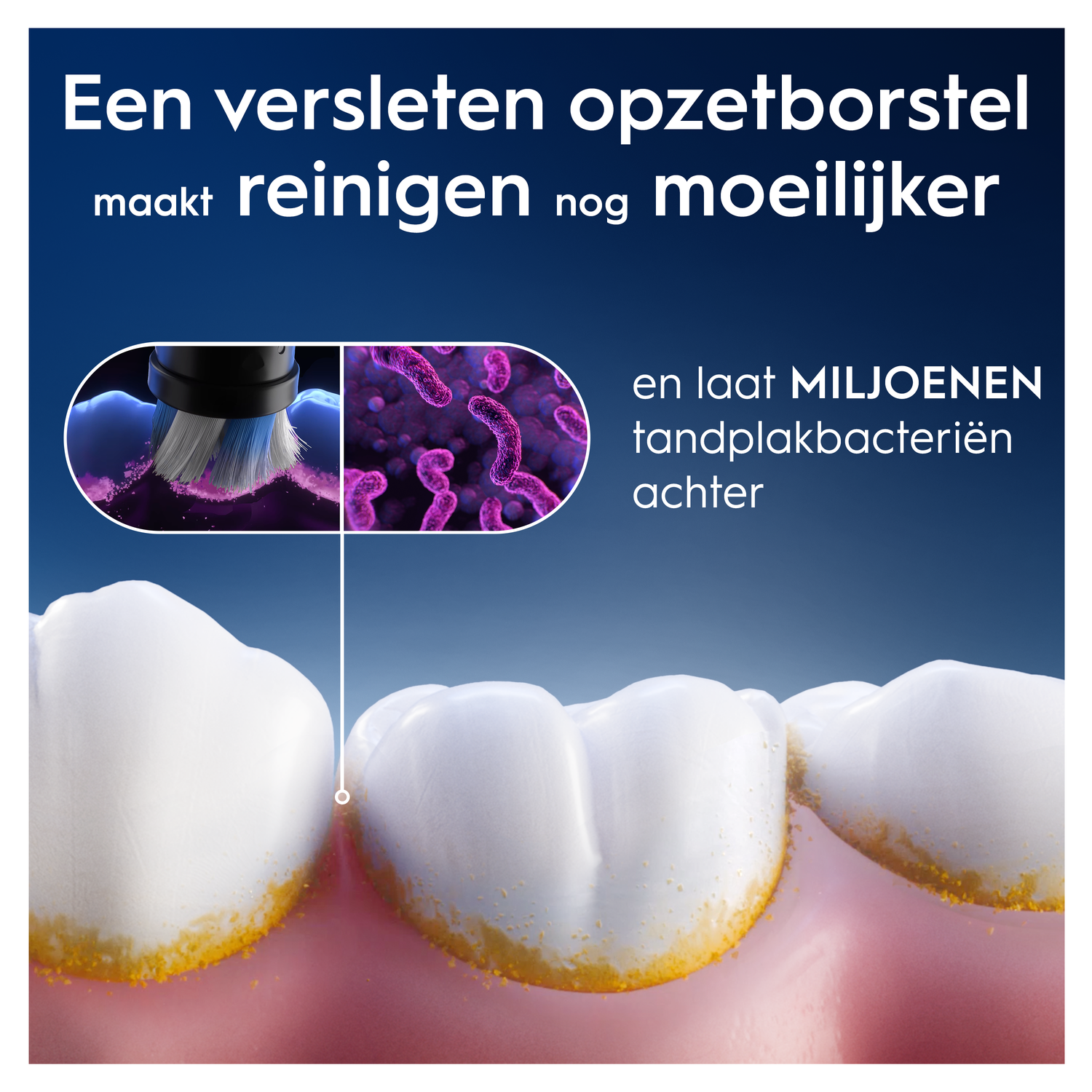 Toothbrush head cleans teeth, bacteria are visible.