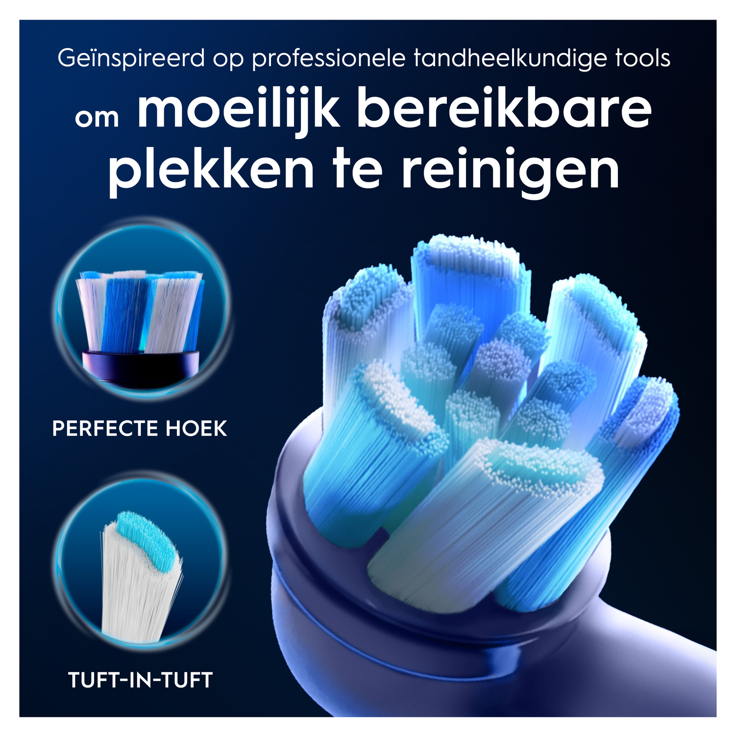 Toothbrush heads with blue and white bristles, inspired by dental tools.