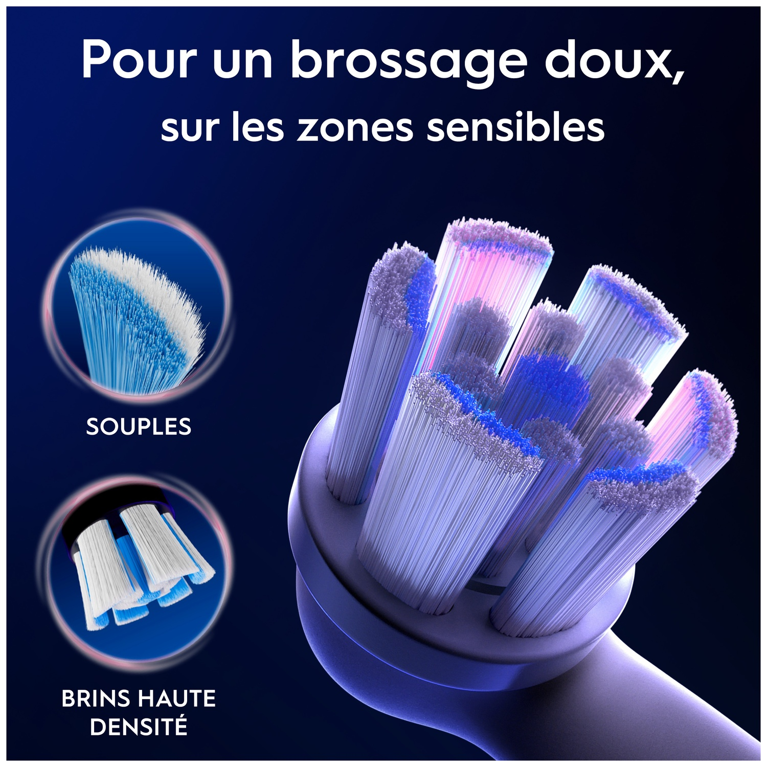 Gros plan d'une tête de brosse à dents électrique avec des poils bleus et blancs.